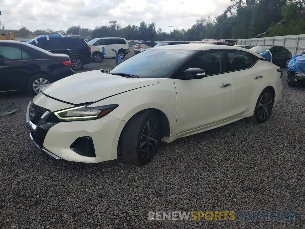 1 fotografías del automóvil dañado 1N4AA6CV8PC511191 NISSAN MAXIMA 2023