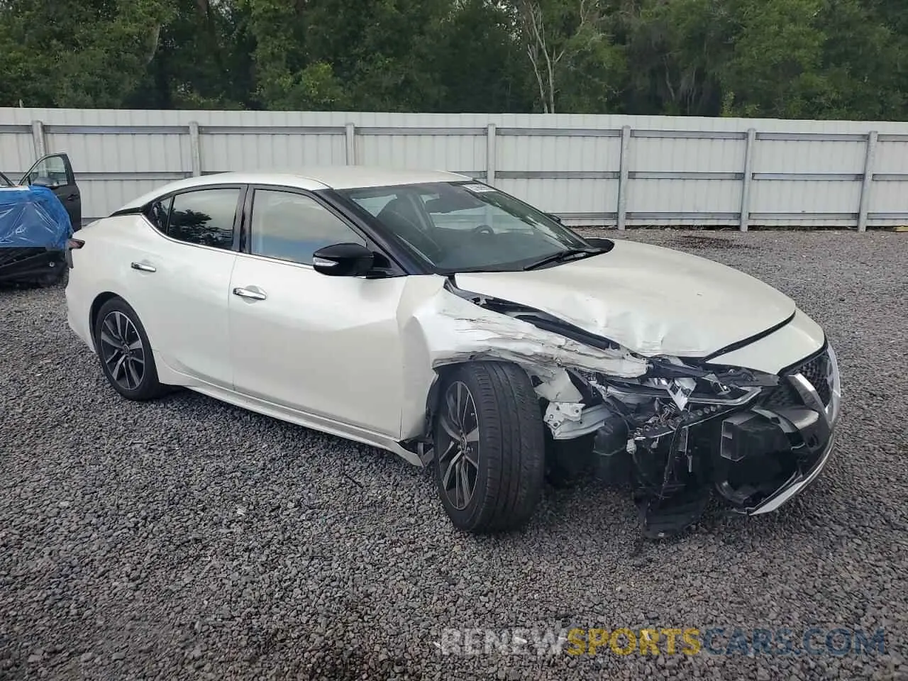4 fotografías del automóvil dañado 1N4AA6CV8PC511191 NISSAN MAXIMA 2023