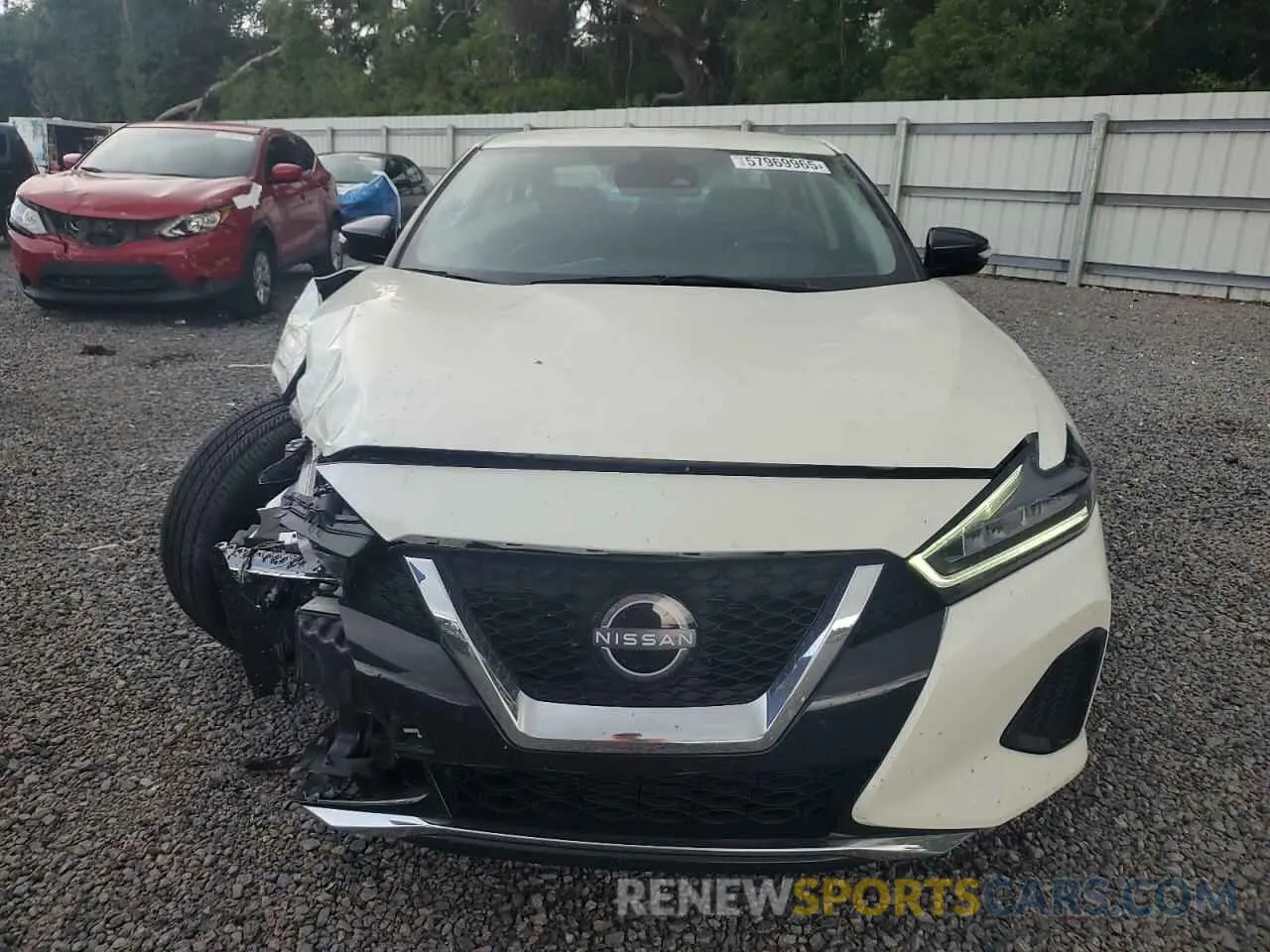 5 fotografías del automóvil dañado 1N4AA6CV8PC511191 NISSAN MAXIMA 2023