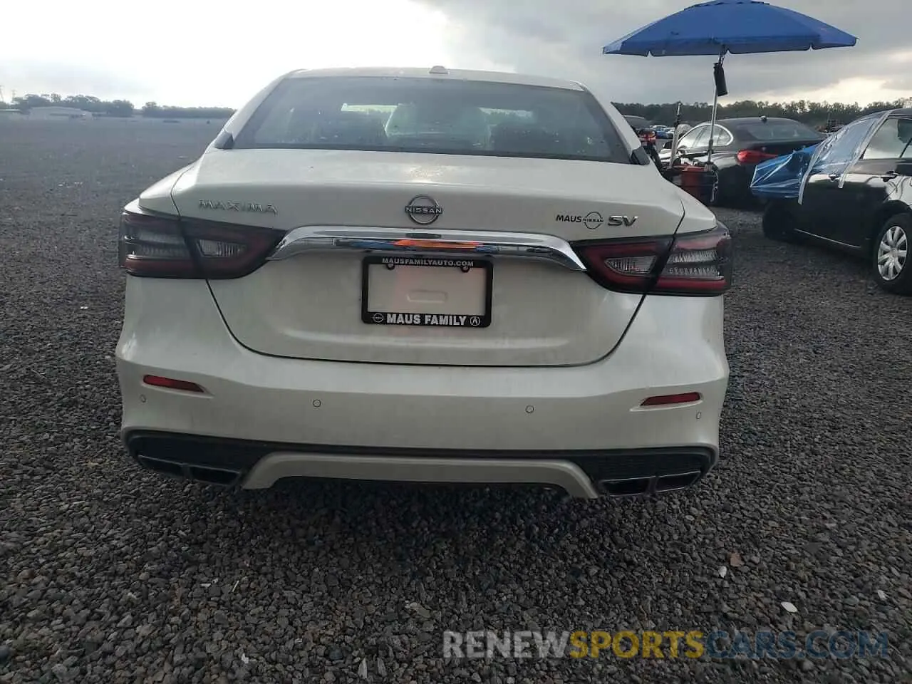 6 fotografías del automóvil dañado 1N4AA6CV8PC511191 NISSAN MAXIMA 2023