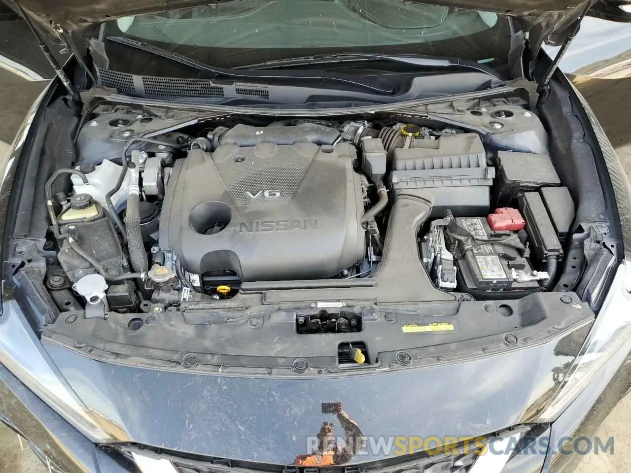 11 fotografías del automóvil dañado 1N4AA6CVXPC511712 NISSAN MAXIMA 2023