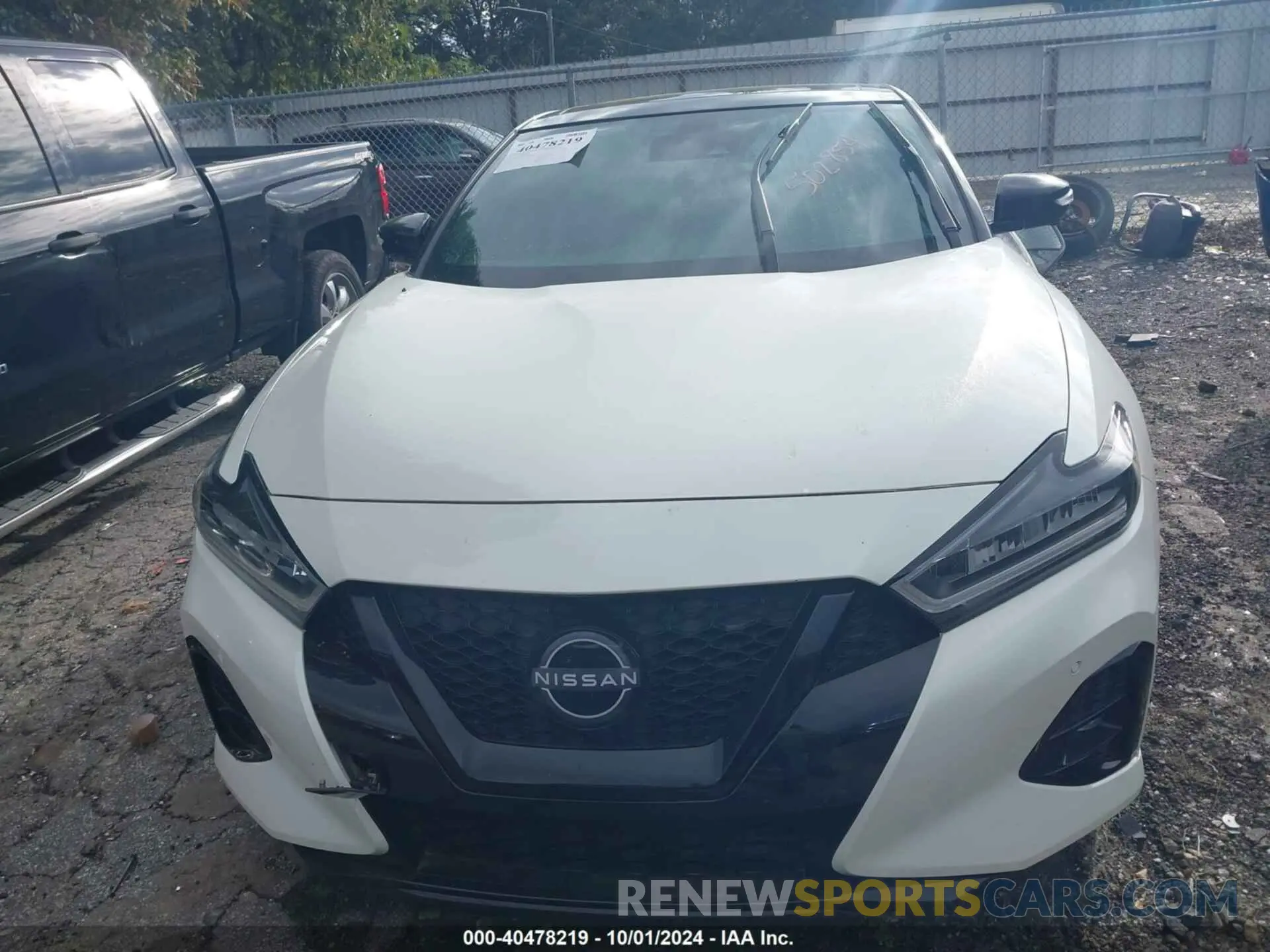 12 fotografías del automóvil dañado 1N4AA6EV0PC502854 NISSAN MAXIMA 2023