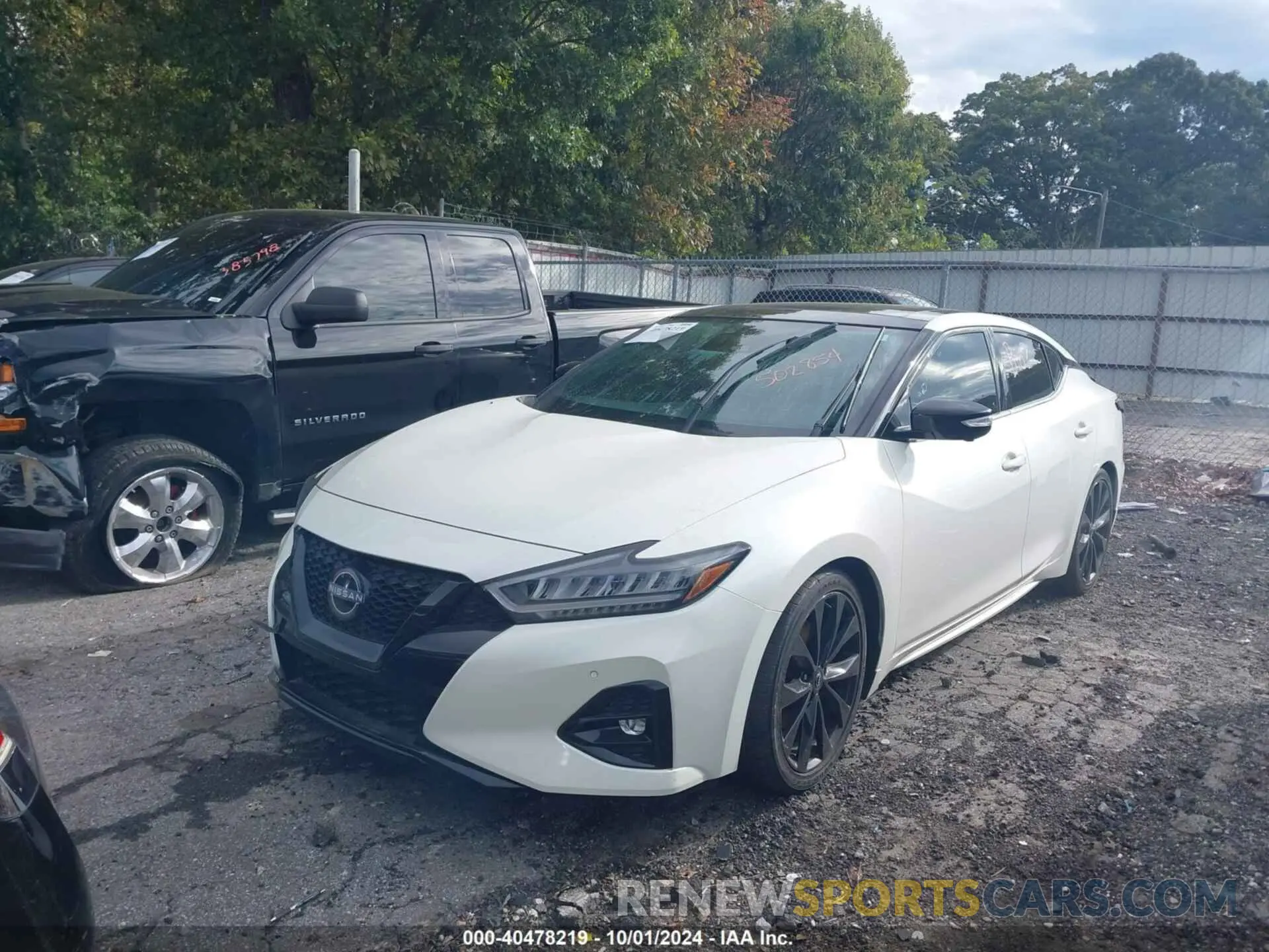 2 fotografías del automóvil dañado 1N4AA6EV0PC502854 NISSAN MAXIMA 2023