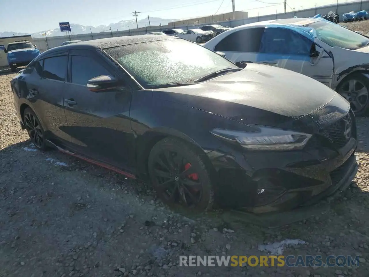 4 fotografías del automóvil dañado 1N4AA6EV1PC502720 NISSAN MAXIMA 2023