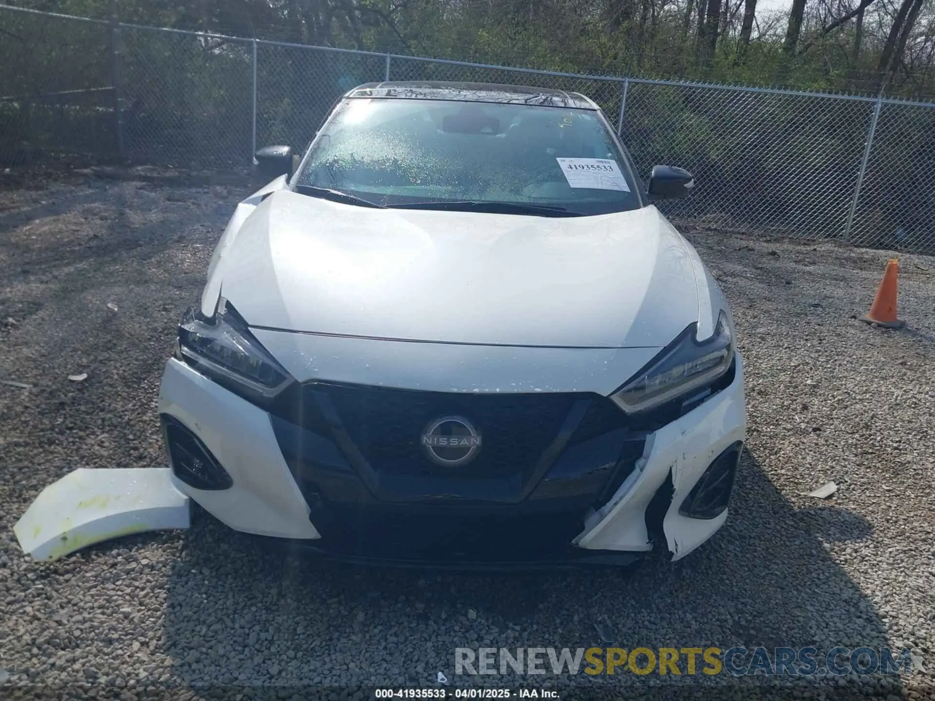 12 fotografías del automóvil dañado 1N4AA6EV6PC503118 NISSAN MAXIMA 2023