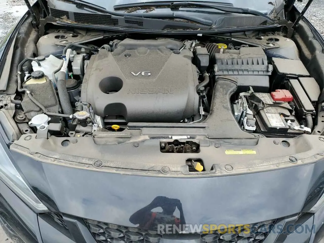 11 fotografías del automóvil dañado 1N4AA6EV8PC506487 NISSAN MAXIMA 2023
