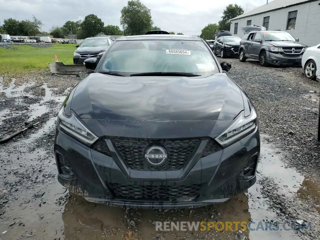 5 fotografías del automóvil dañado 1N4AA6EV8PC506487 NISSAN MAXIMA 2023