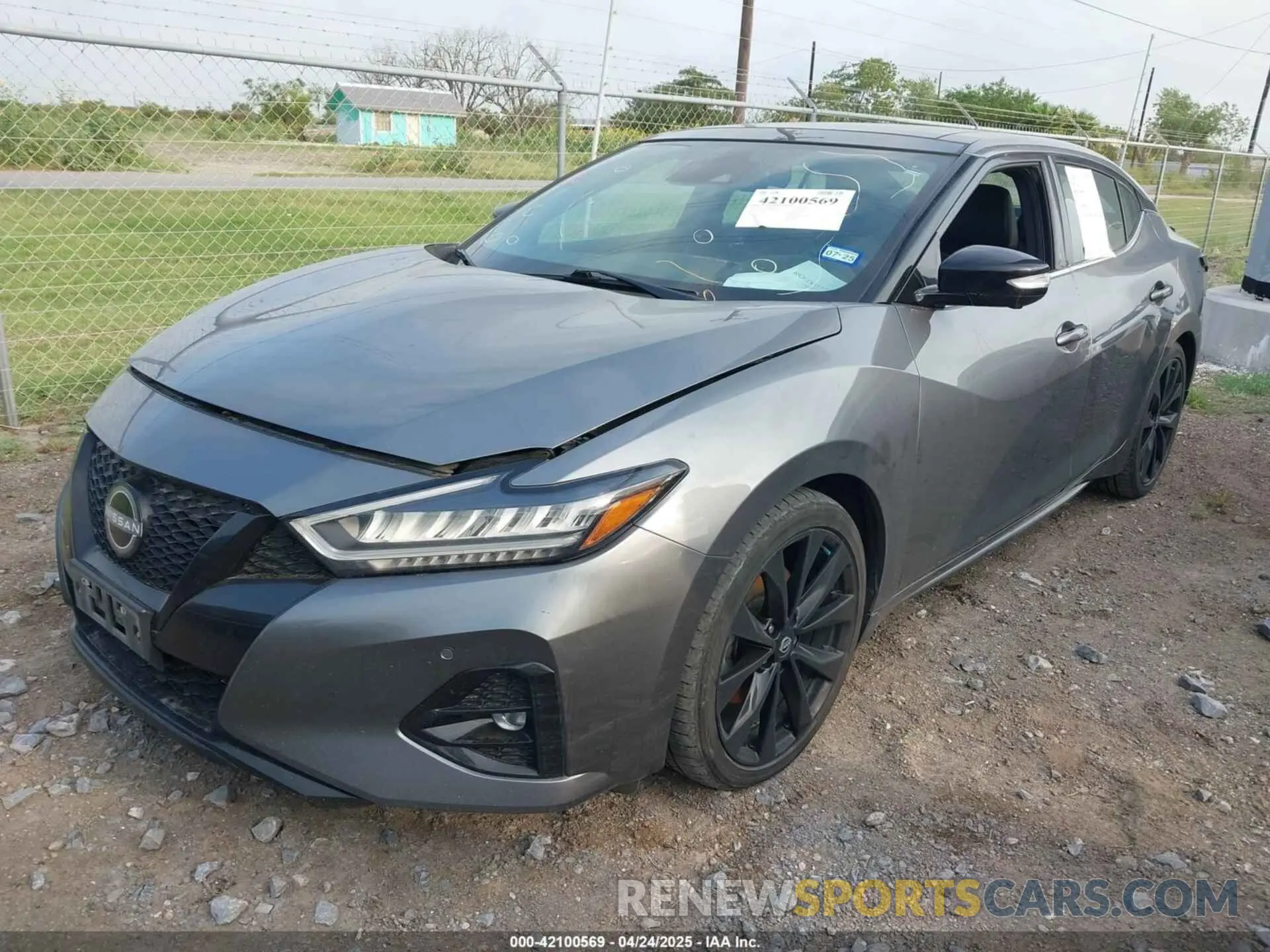 2 fotografías del automóvil dañado 1N4AA6EVXPC508029 NISSAN MAXIMA 2023