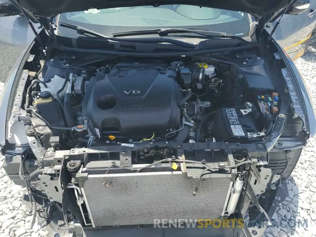 11 fotografías del automóvil dañado 1N4AA6EVXPC513845 NISSAN MAXIMA 2023