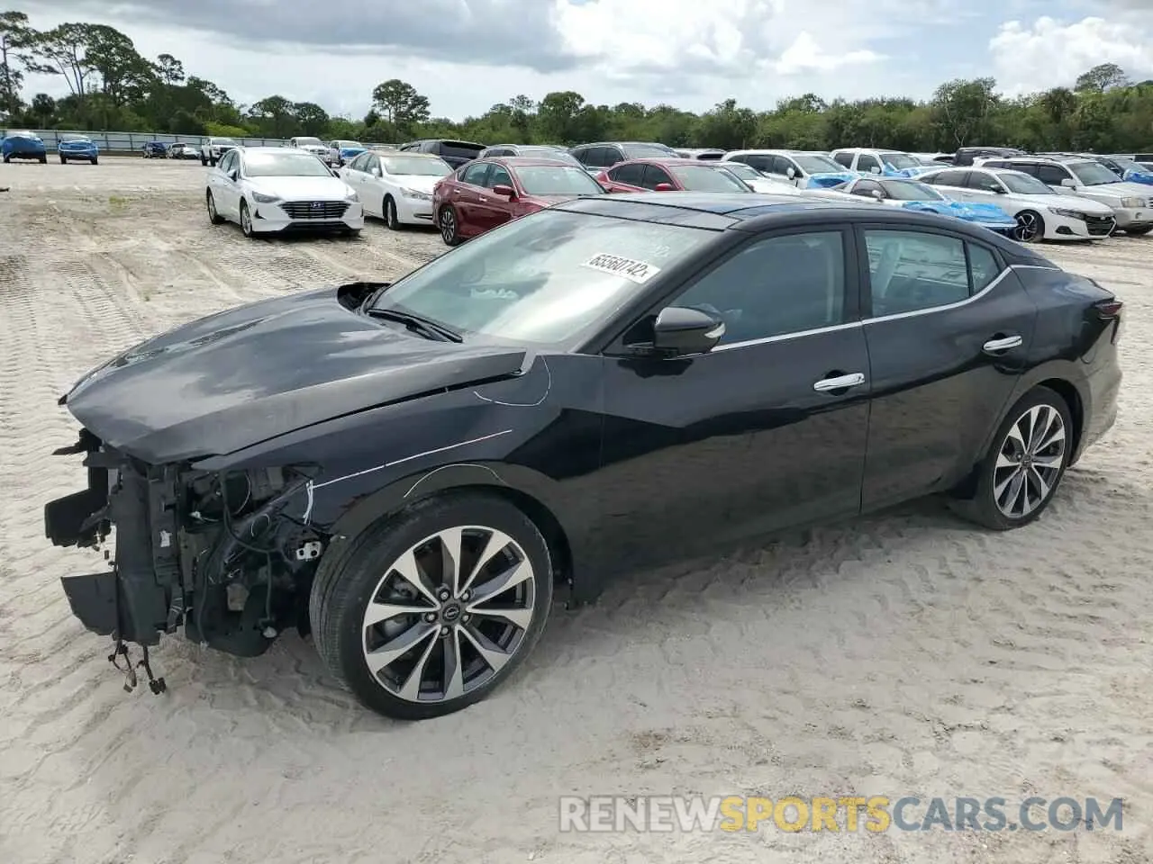 1 fotografías del automóvil dañado 1N4AA6FV0PC501797 NISSAN MAXIMA 2023