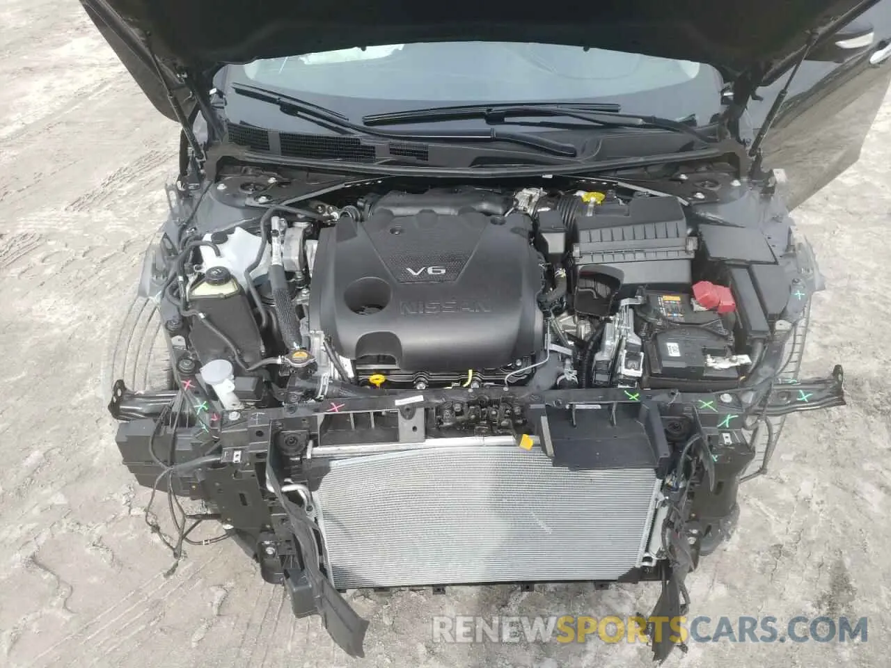 11 fotografías del automóvil dañado 1N4AA6FV0PC501797 NISSAN MAXIMA 2023