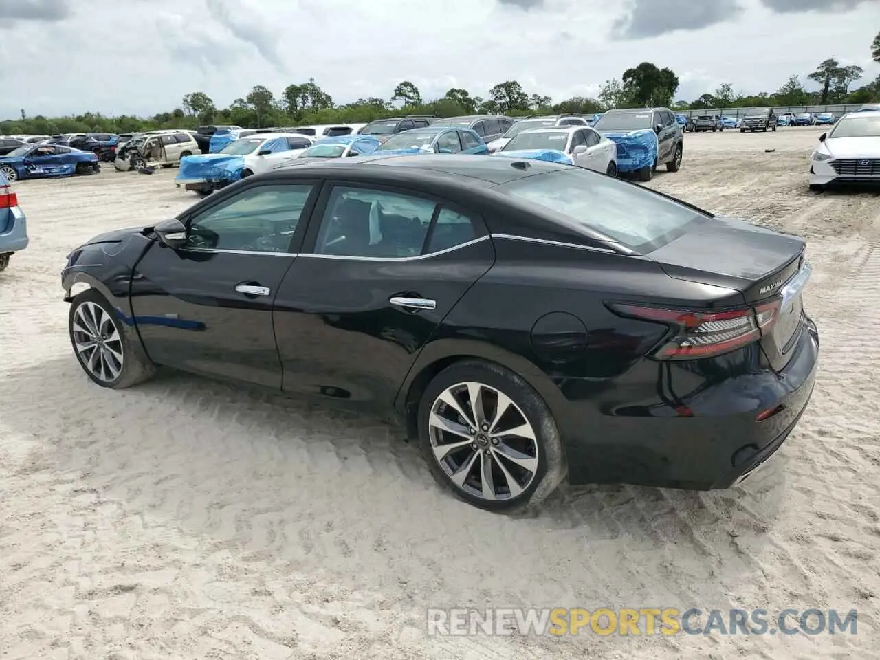 2 fotografías del automóvil dañado 1N4AA6FV0PC501797 NISSAN MAXIMA 2023