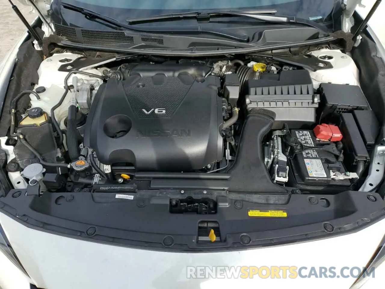 11 fotografías del automóvil dañado 1N4AA6FV1PC507737 NISSAN MAXIMA 2023