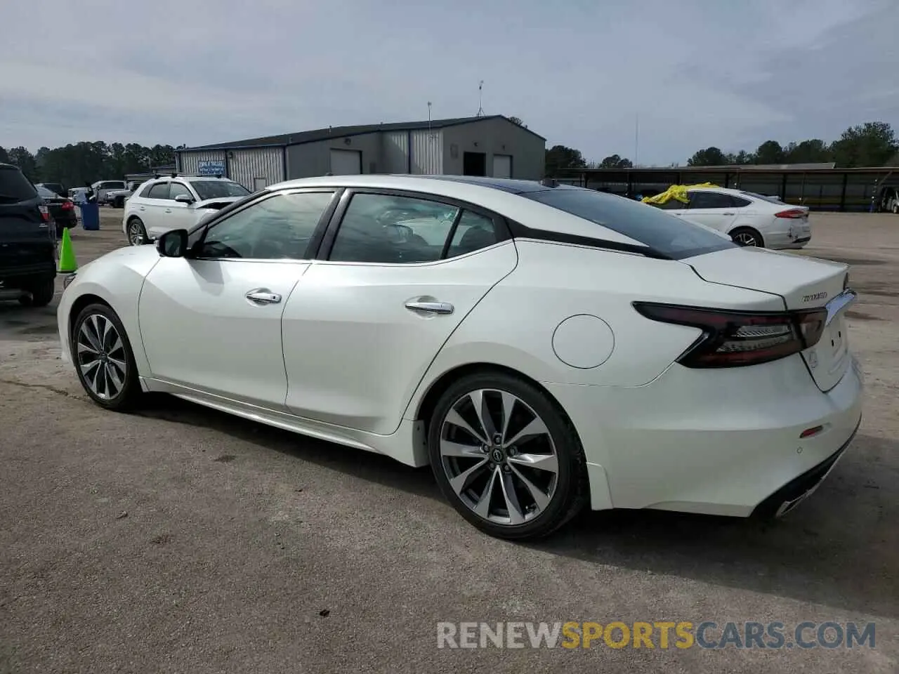 2 fotografías del automóvil dañado 1N4AA6FV1PC507737 NISSAN MAXIMA 2023