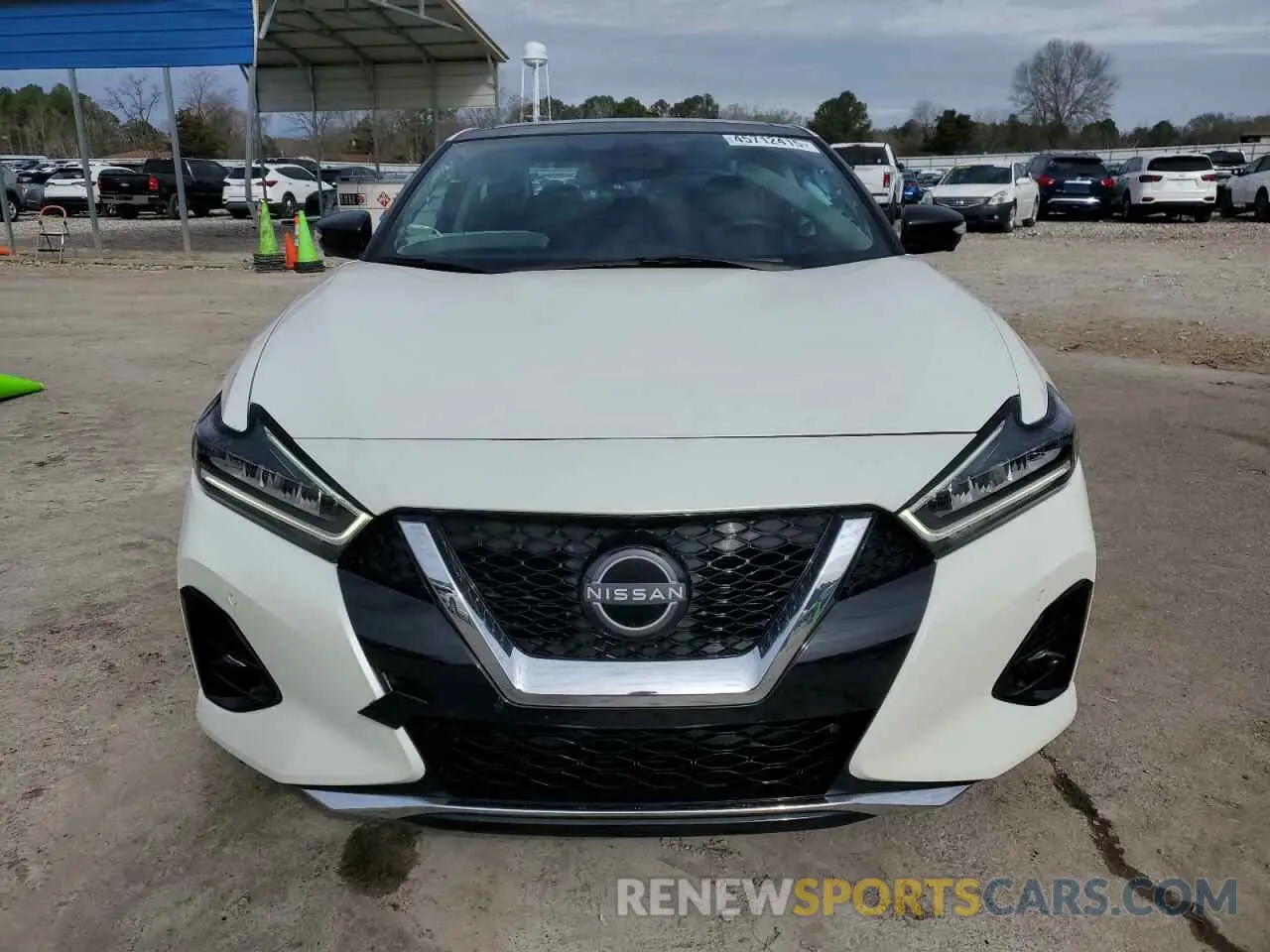 5 fotografías del automóvil dañado 1N4AA6FV1PC507737 NISSAN MAXIMA 2023