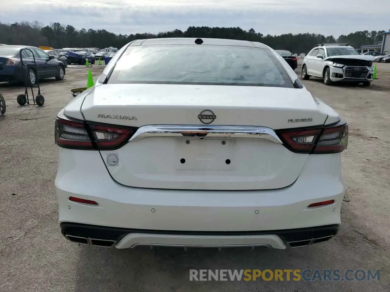 6 fotografías del automóvil dañado 1N4AA6FV1PC507737 NISSAN MAXIMA 2023