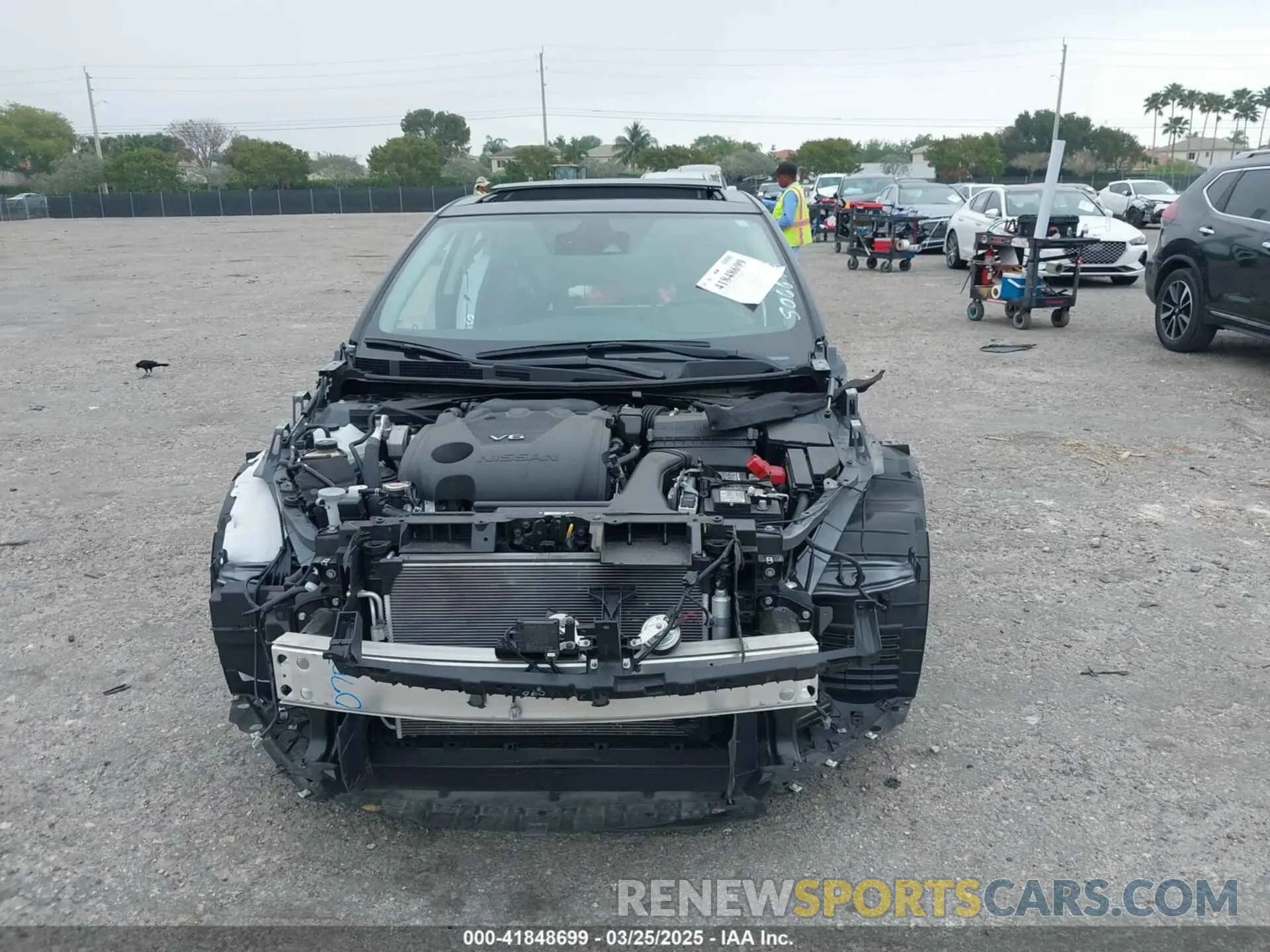 11 fotografías del automóvil dañado 1N4AA6FV2PC506645 NISSAN MAXIMA 2023