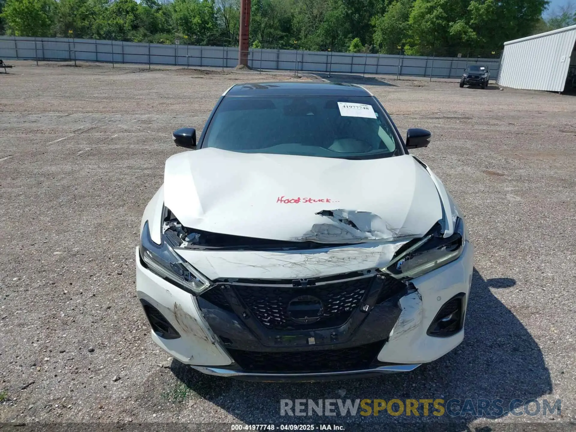 10 fotografías del automóvil dañado 1N4AA6FV3PC510428 NISSAN MAXIMA 2023
