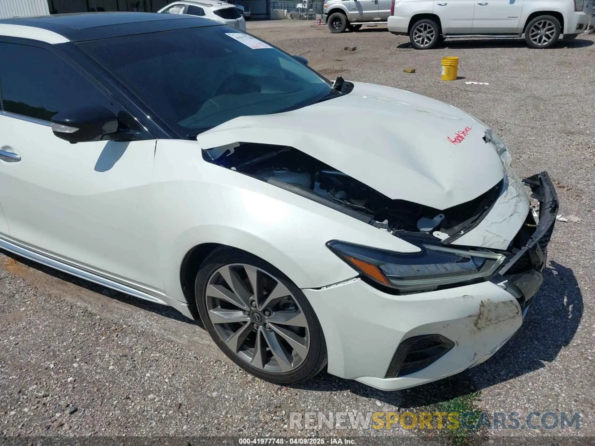 12 fotografías del automóvil dañado 1N4AA6FV3PC510428 NISSAN MAXIMA 2023