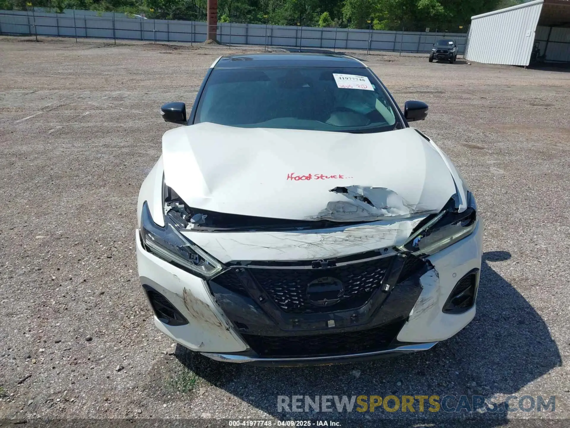 13 fotografías del automóvil dañado 1N4AA6FV3PC510428 NISSAN MAXIMA 2023