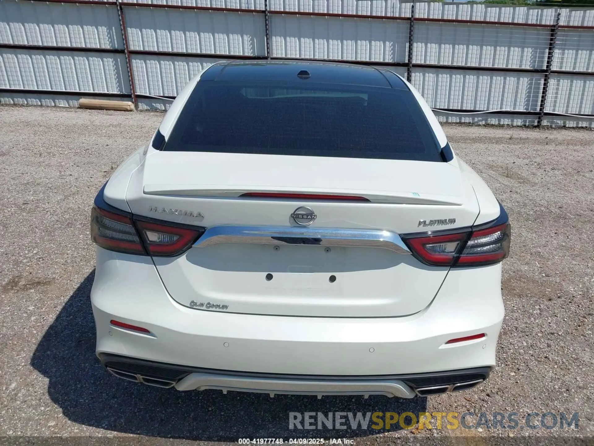 17 fotografías del automóvil dañado 1N4AA6FV3PC510428 NISSAN MAXIMA 2023