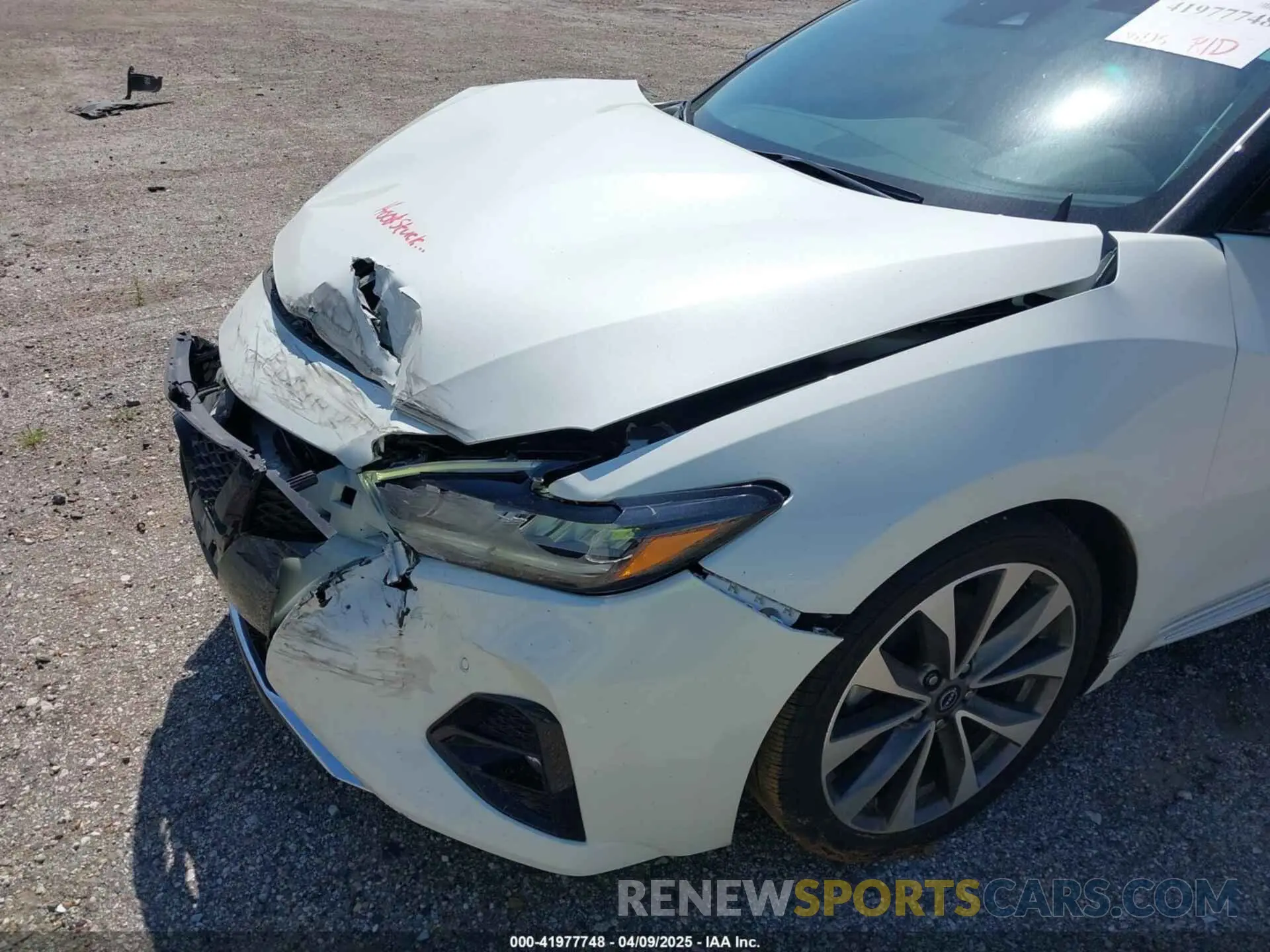 18 fotografías del automóvil dañado 1N4AA6FV3PC510428 NISSAN MAXIMA 2023