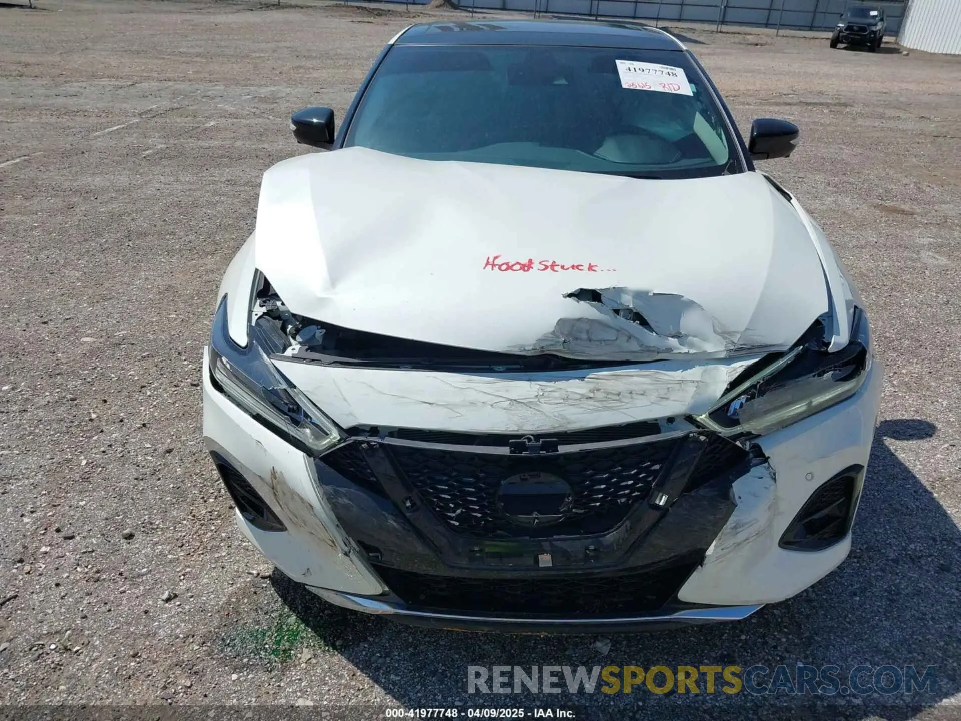 6 fotografías del automóvil dañado 1N4AA6FV3PC510428 NISSAN MAXIMA 2023