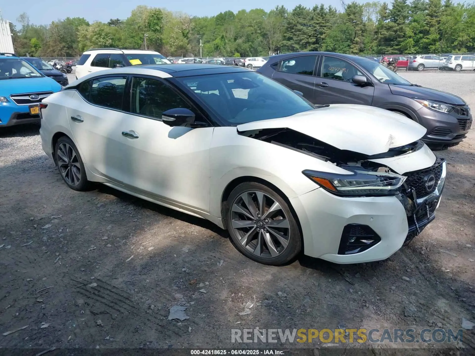 1 fotografías del automóvil dañado 1N4AA6FV5PC505862 NISSAN MAXIMA 2023