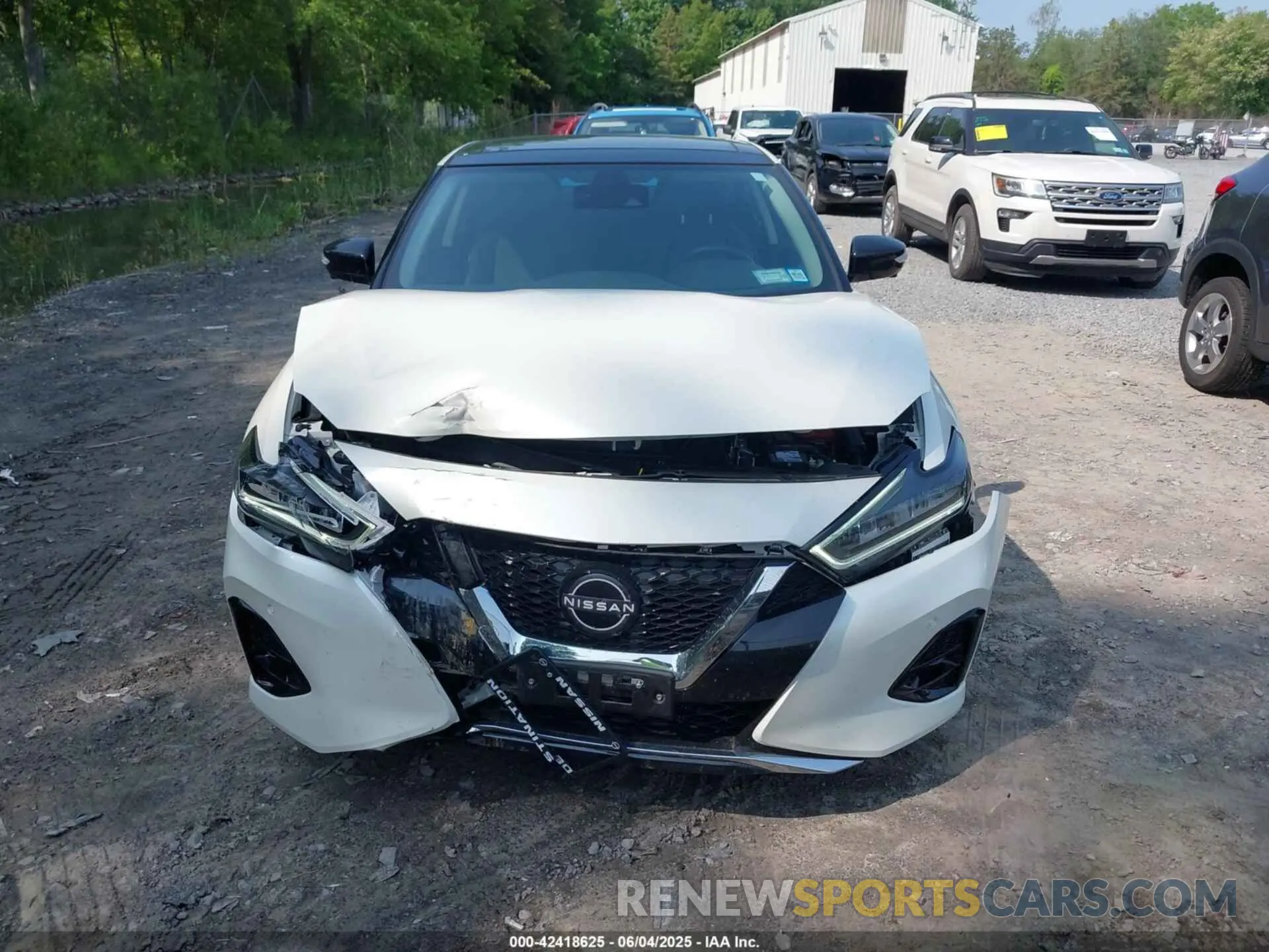 12 fotografías del automóvil dañado 1N4AA6FV5PC505862 NISSAN MAXIMA 2023