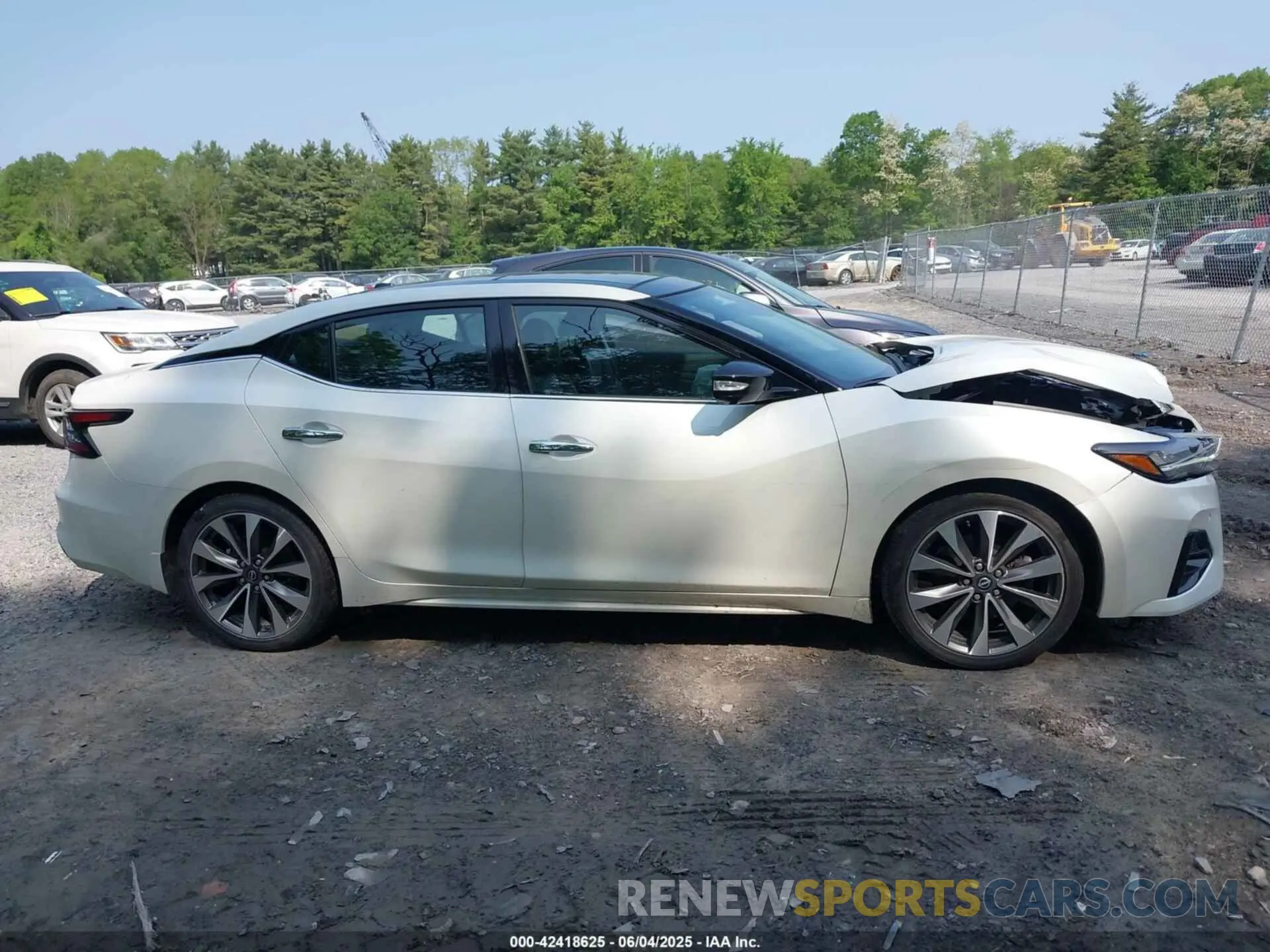 13 fotografías del automóvil dañado 1N4AA6FV5PC505862 NISSAN MAXIMA 2023