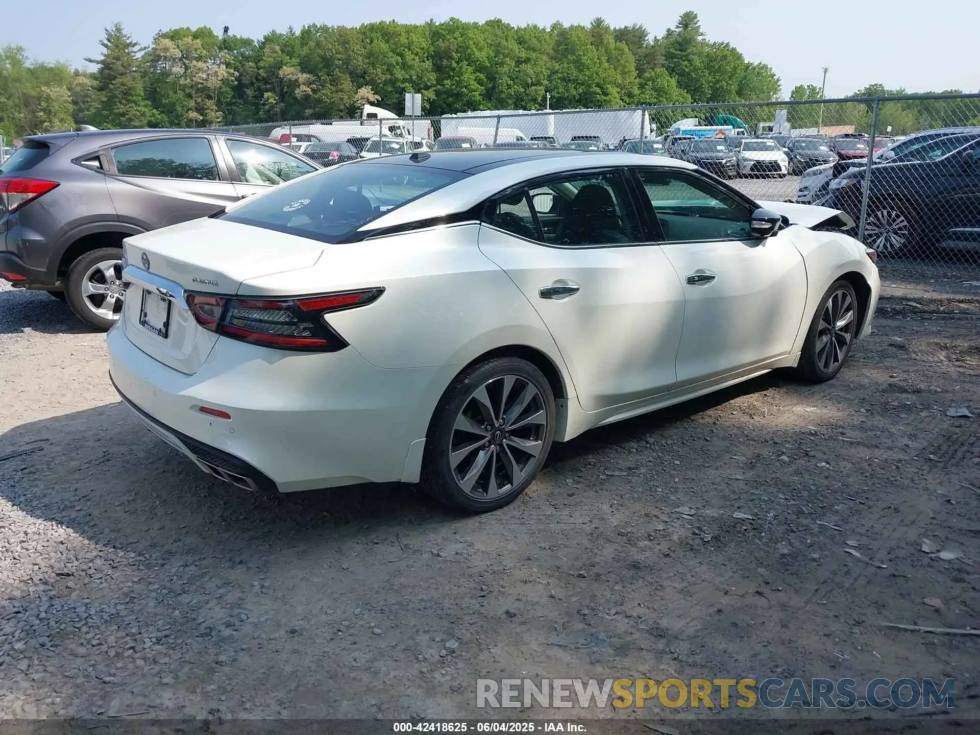 4 fotografías del automóvil dañado 1N4AA6FV5PC505862 NISSAN MAXIMA 2023