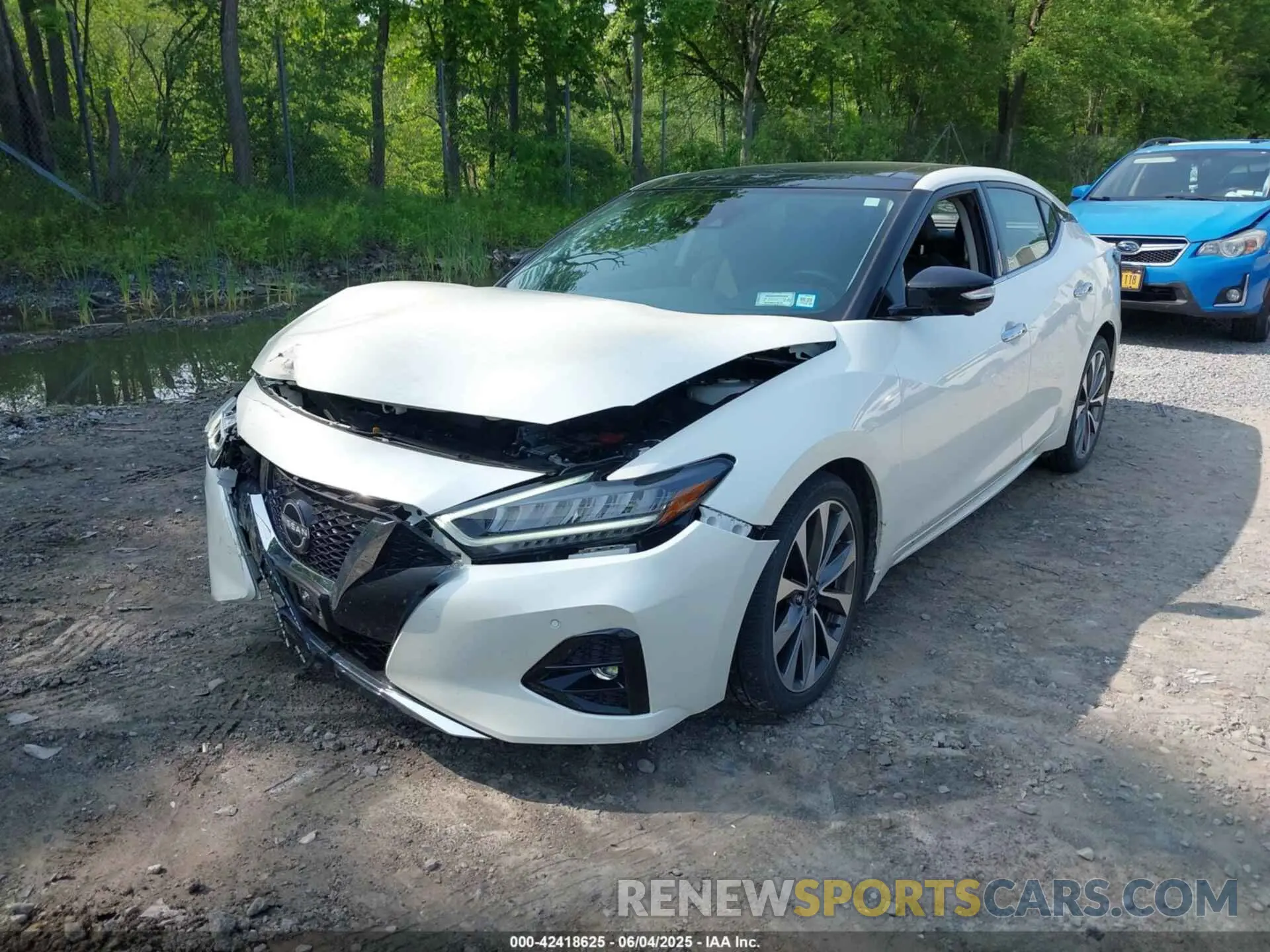 6 fotografías del automóvil dañado 1N4AA6FV5PC505862 NISSAN MAXIMA 2023