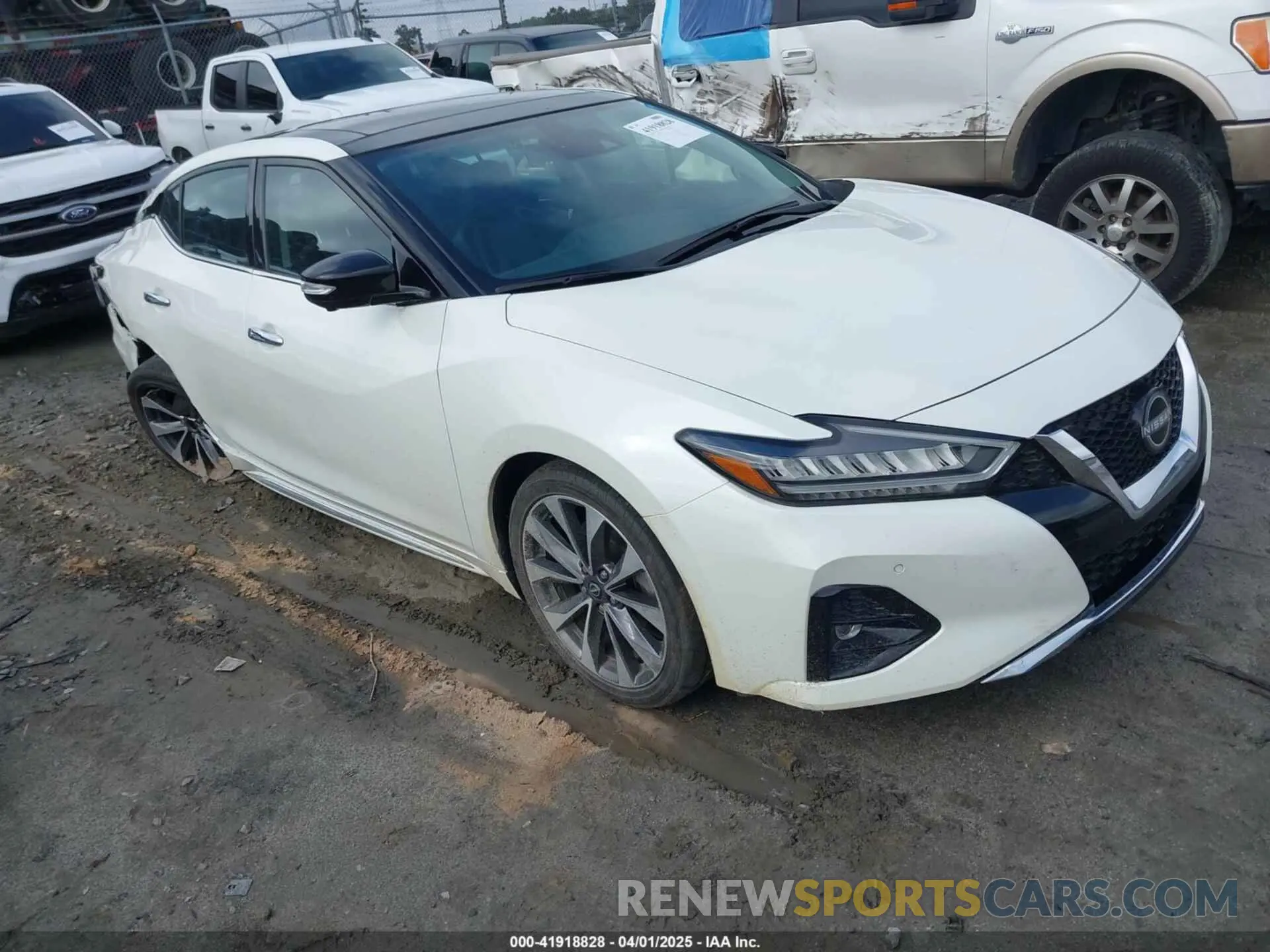 1 fotografías del automóvil dañado 1N4AA6FV6PC508429 NISSAN MAXIMA 2023