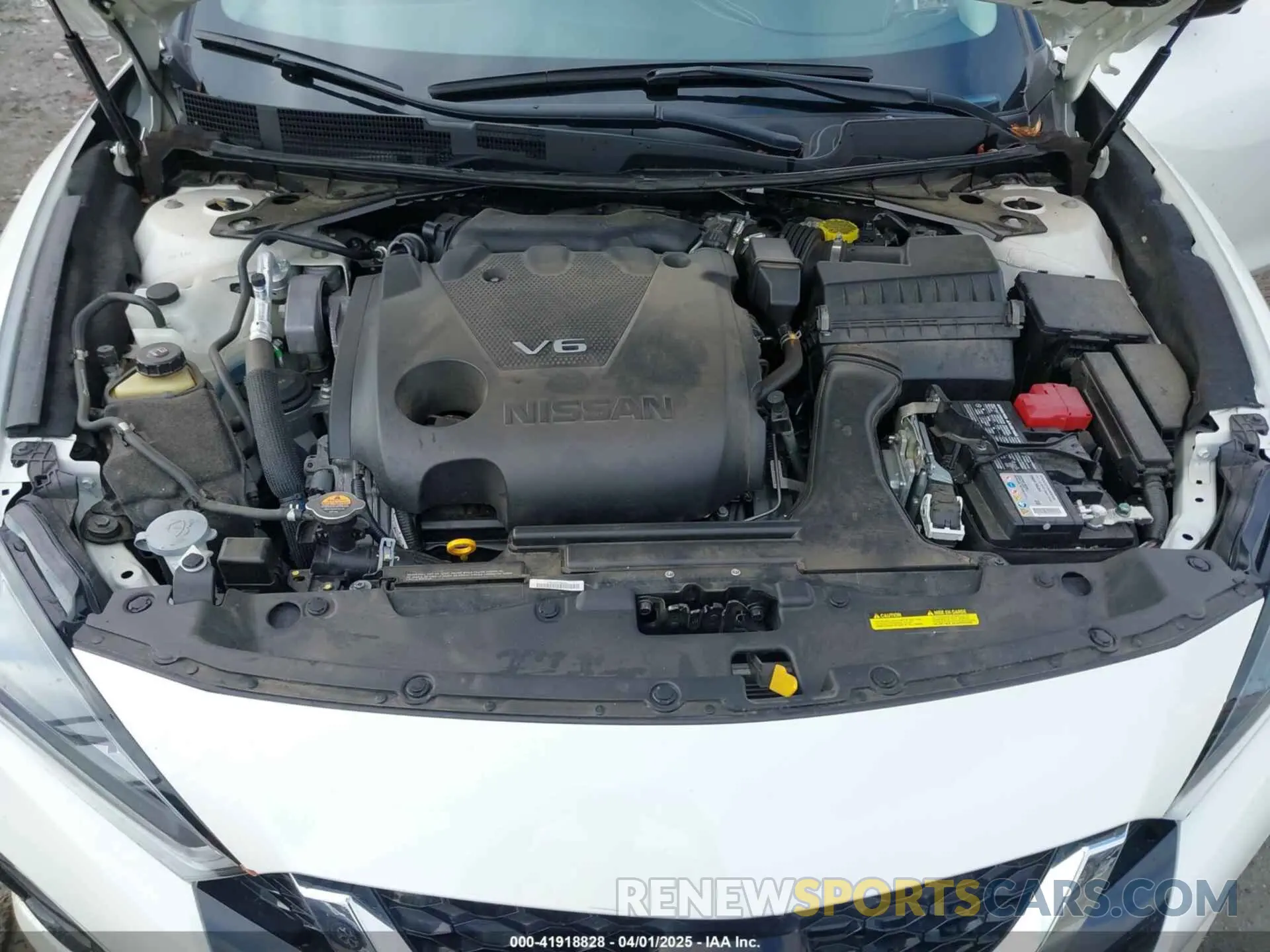 10 fotografías del automóvil dañado 1N4AA6FV6PC508429 NISSAN MAXIMA 2023