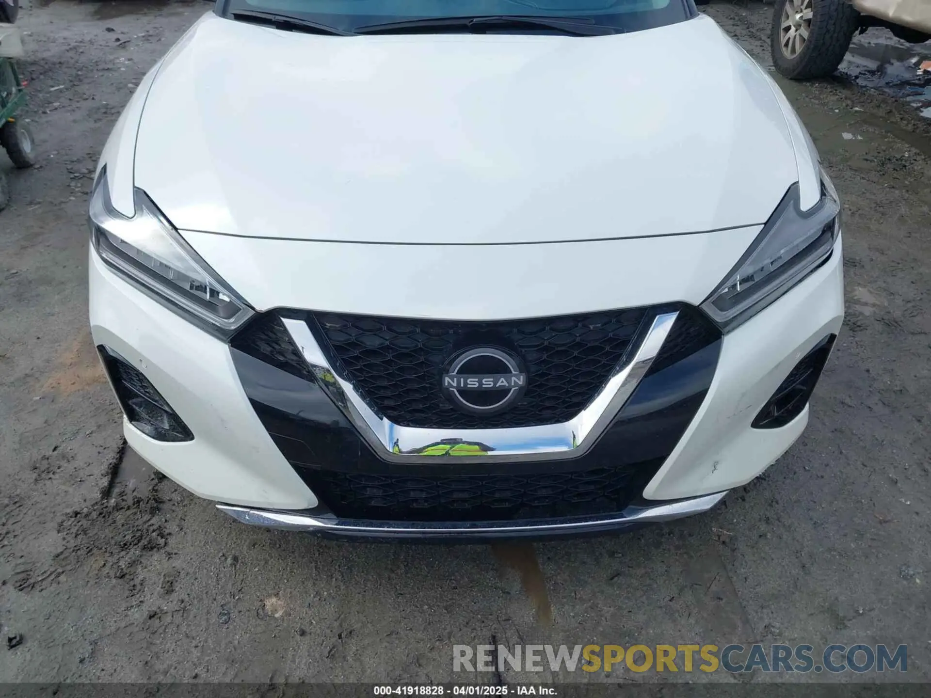 12 fotografías del automóvil dañado 1N4AA6FV6PC508429 NISSAN MAXIMA 2023