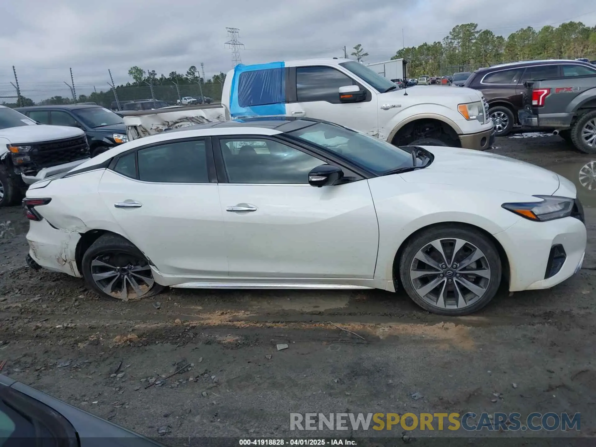 13 fotografías del automóvil dañado 1N4AA6FV6PC508429 NISSAN MAXIMA 2023