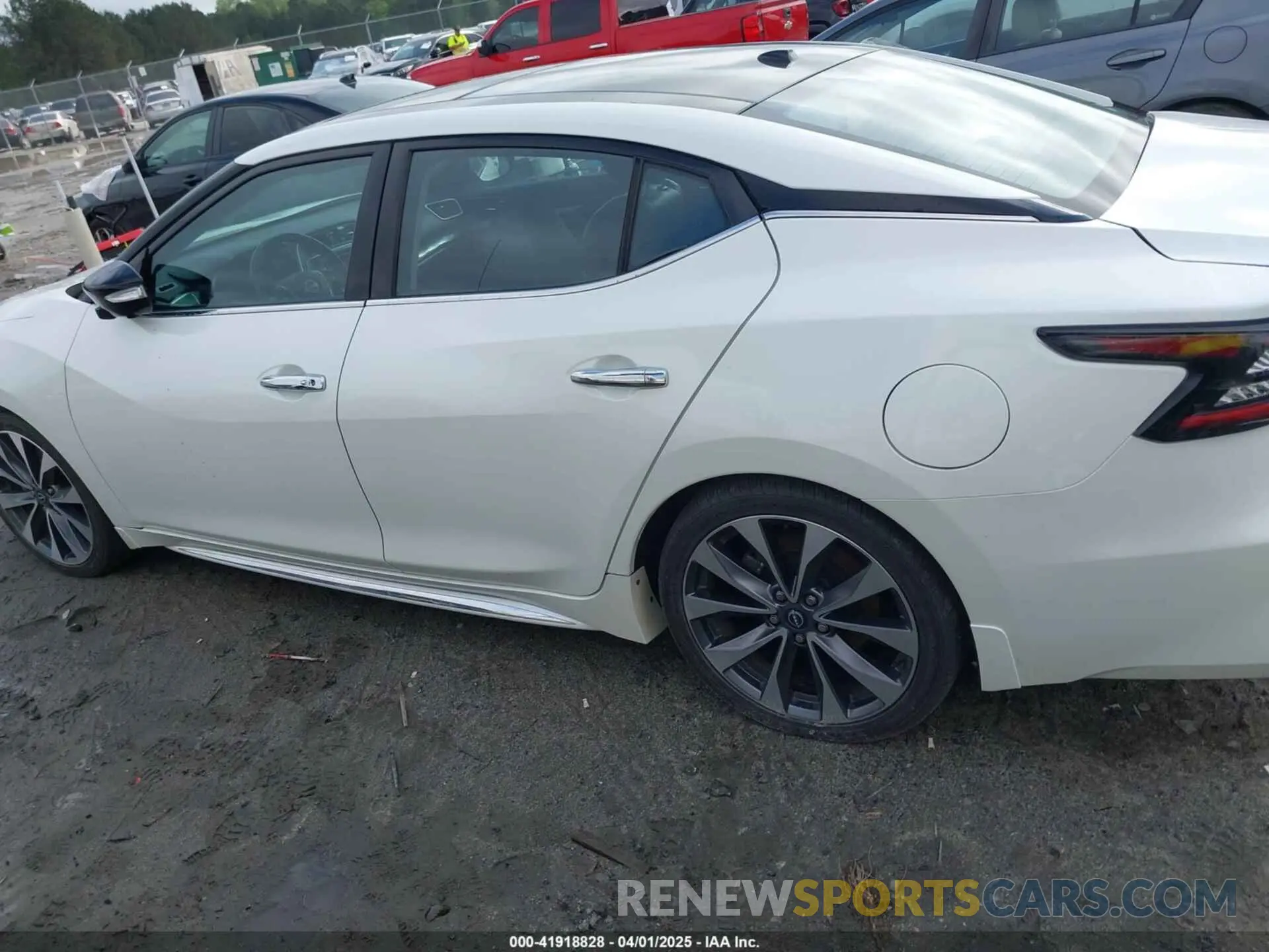 14 fotografías del automóvil dañado 1N4AA6FV6PC508429 NISSAN MAXIMA 2023