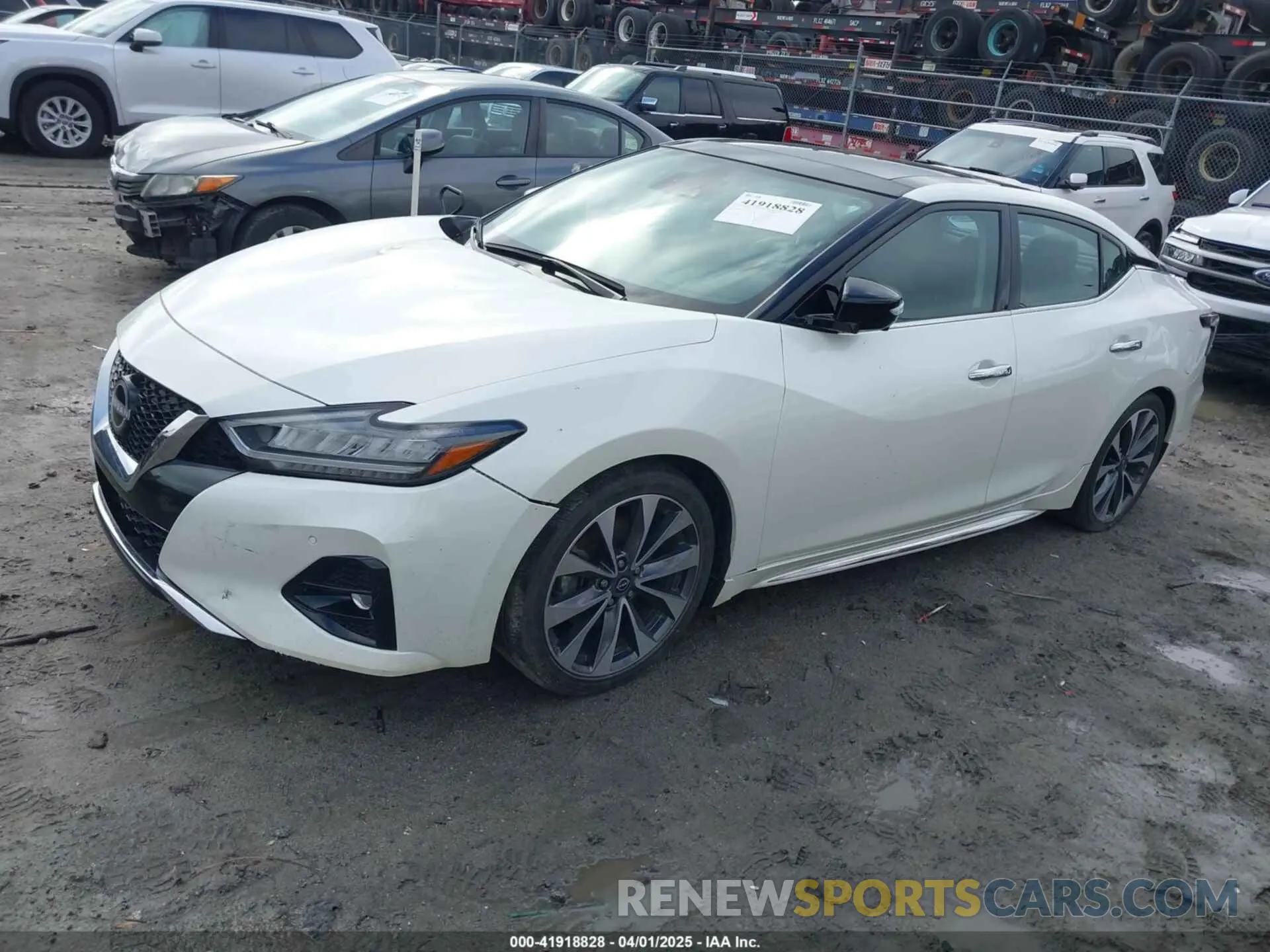 2 fotografías del automóvil dañado 1N4AA6FV6PC508429 NISSAN MAXIMA 2023