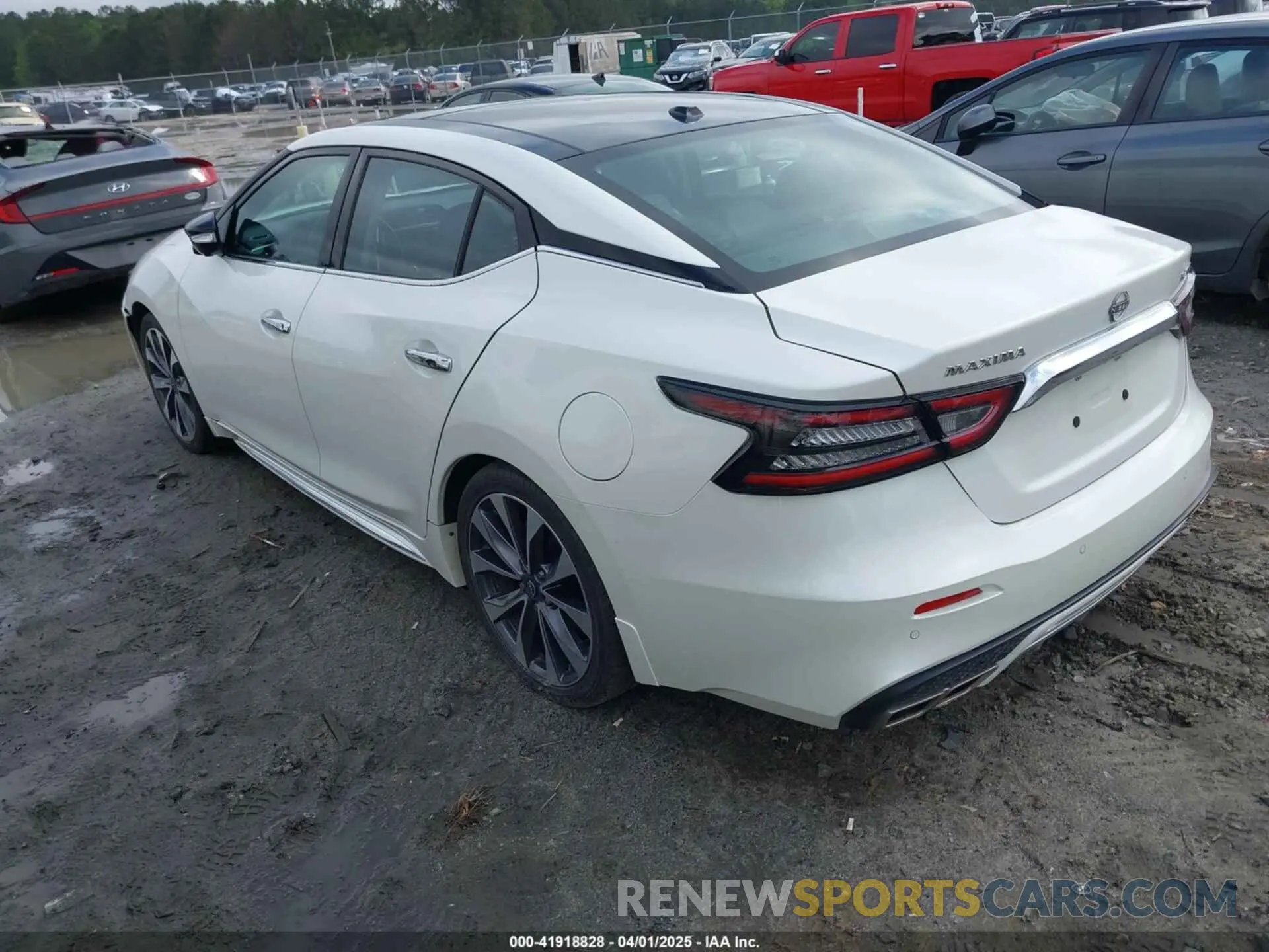 3 fotografías del automóvil dañado 1N4AA6FV6PC508429 NISSAN MAXIMA 2023