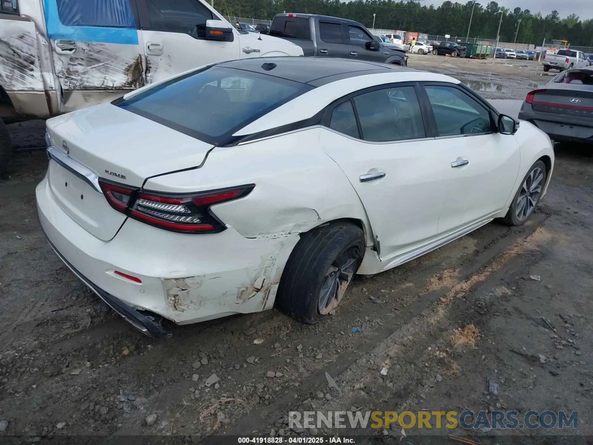 4 fotografías del automóvil dañado 1N4AA6FV6PC508429 NISSAN MAXIMA 2023