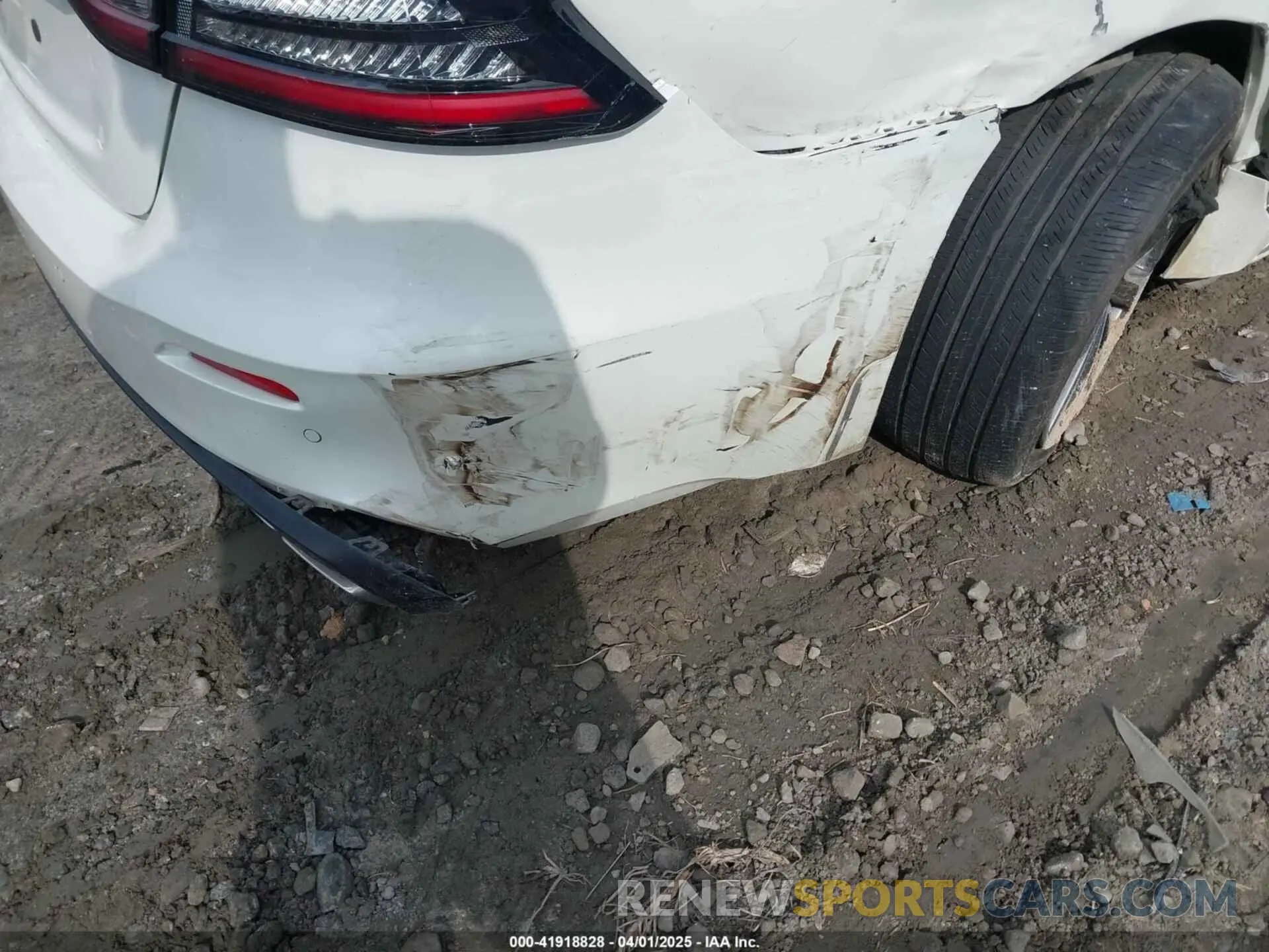 6 fotografías del automóvil dañado 1N4AA6FV6PC508429 NISSAN MAXIMA 2023