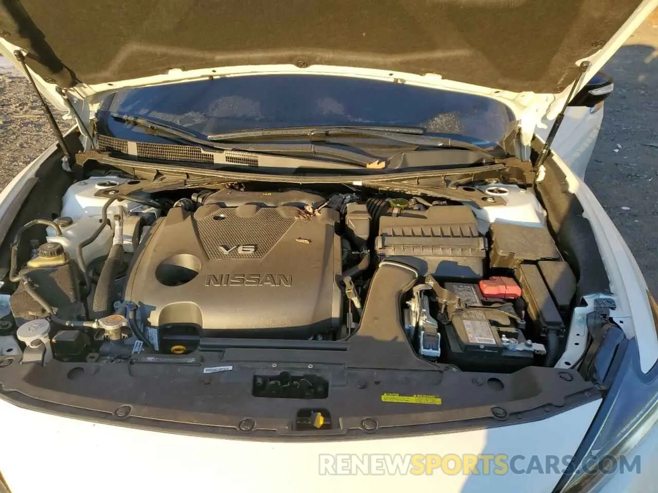 11 fotografías del automóvil dañado 1N4AA6FV6PC513856 NISSAN MAXIMA 2023