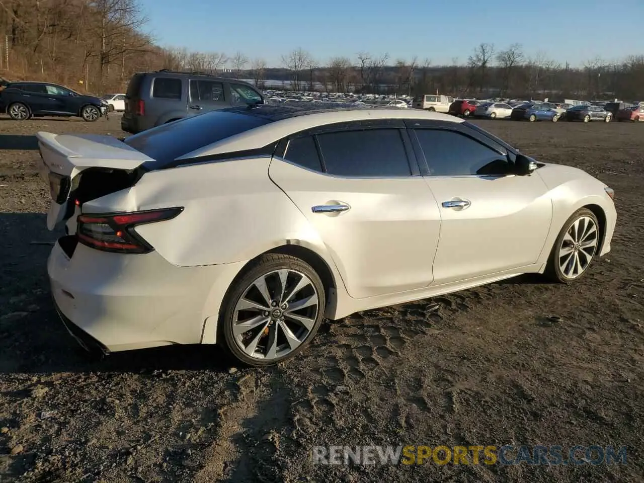3 fotografías del automóvil dañado 1N4AA6FV6PC513856 NISSAN MAXIMA 2023