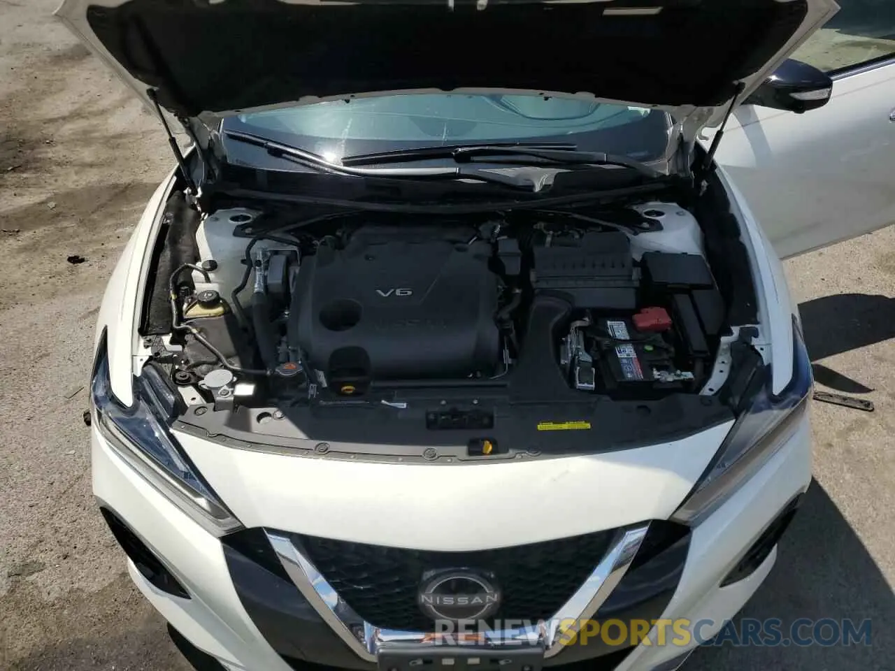 11 fotografías del automóvil dañado 1N4AA6FV7PC502087 NISSAN MAXIMA 2023