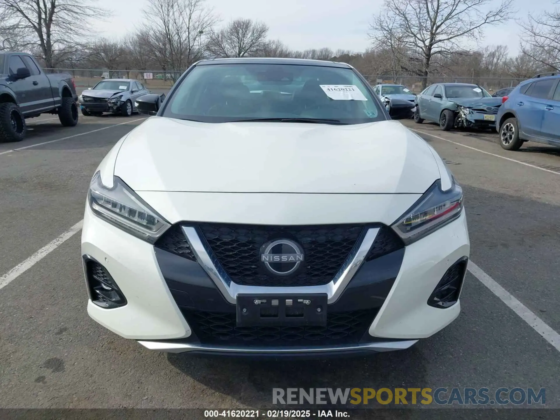 12 fotografías del automóvil dañado 1N4AA6FV8PC504740 NISSAN MAXIMA 2023