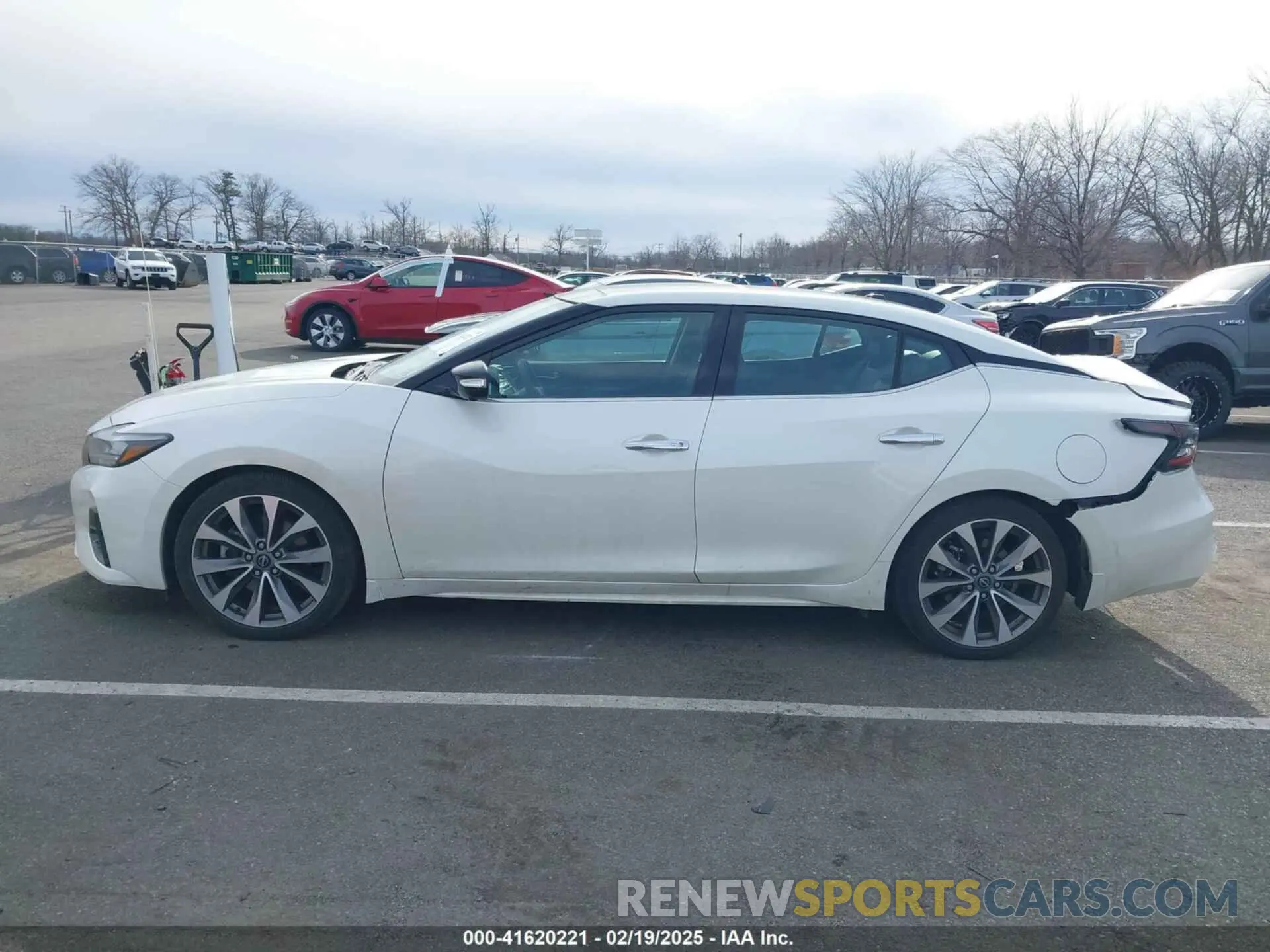 14 fotografías del automóvil dañado 1N4AA6FV8PC504740 NISSAN MAXIMA 2023