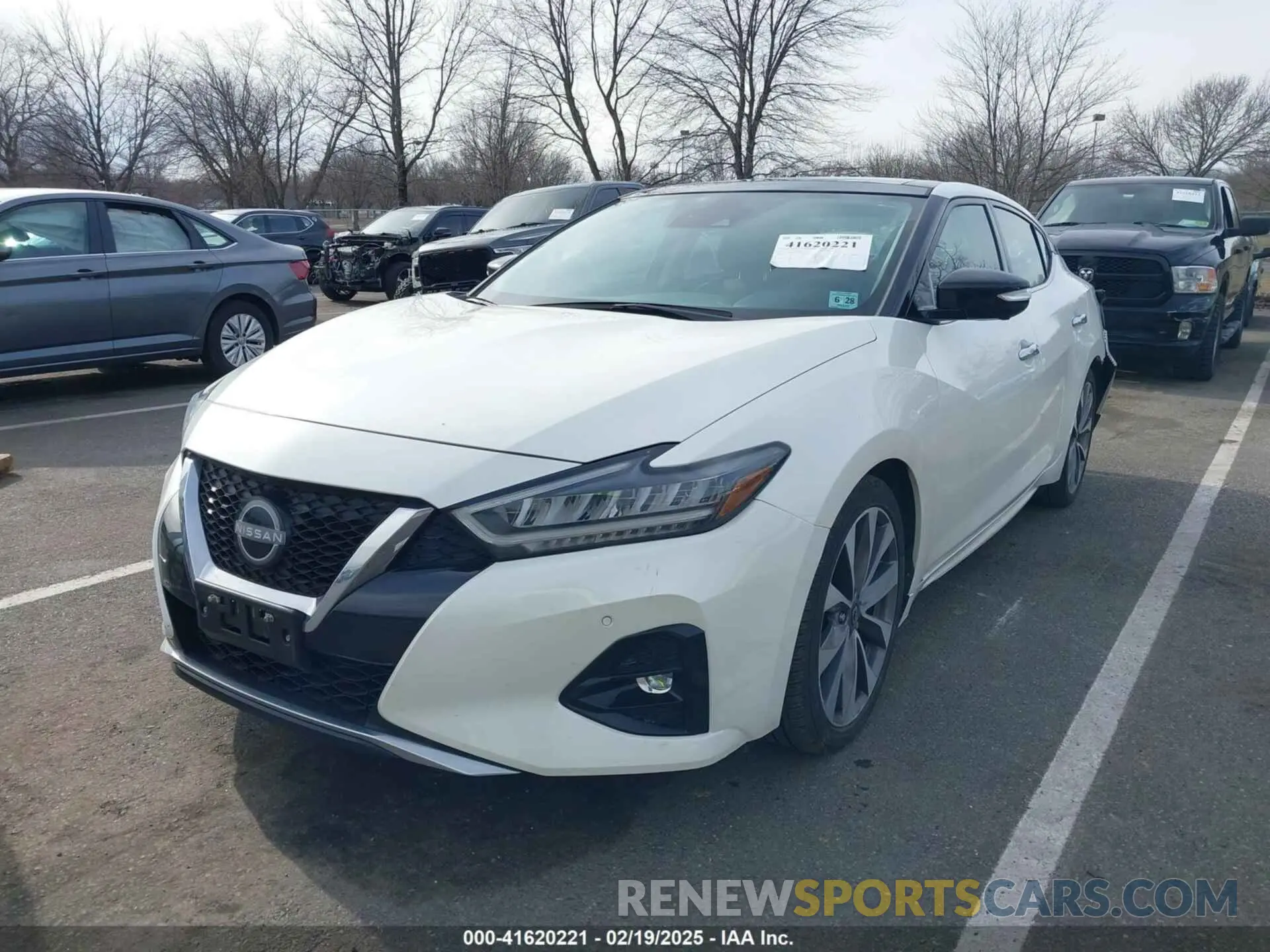 2 fotografías del automóvil dañado 1N4AA6FV8PC504740 NISSAN MAXIMA 2023