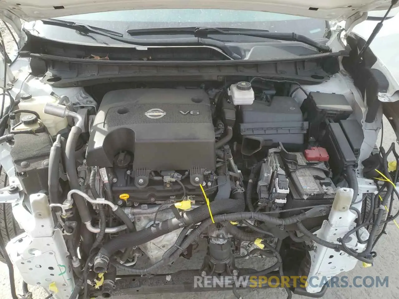 12 fotografías del automóvil dañado 5N1AZ2MS0KN165114 NISSAN MURANO 2019