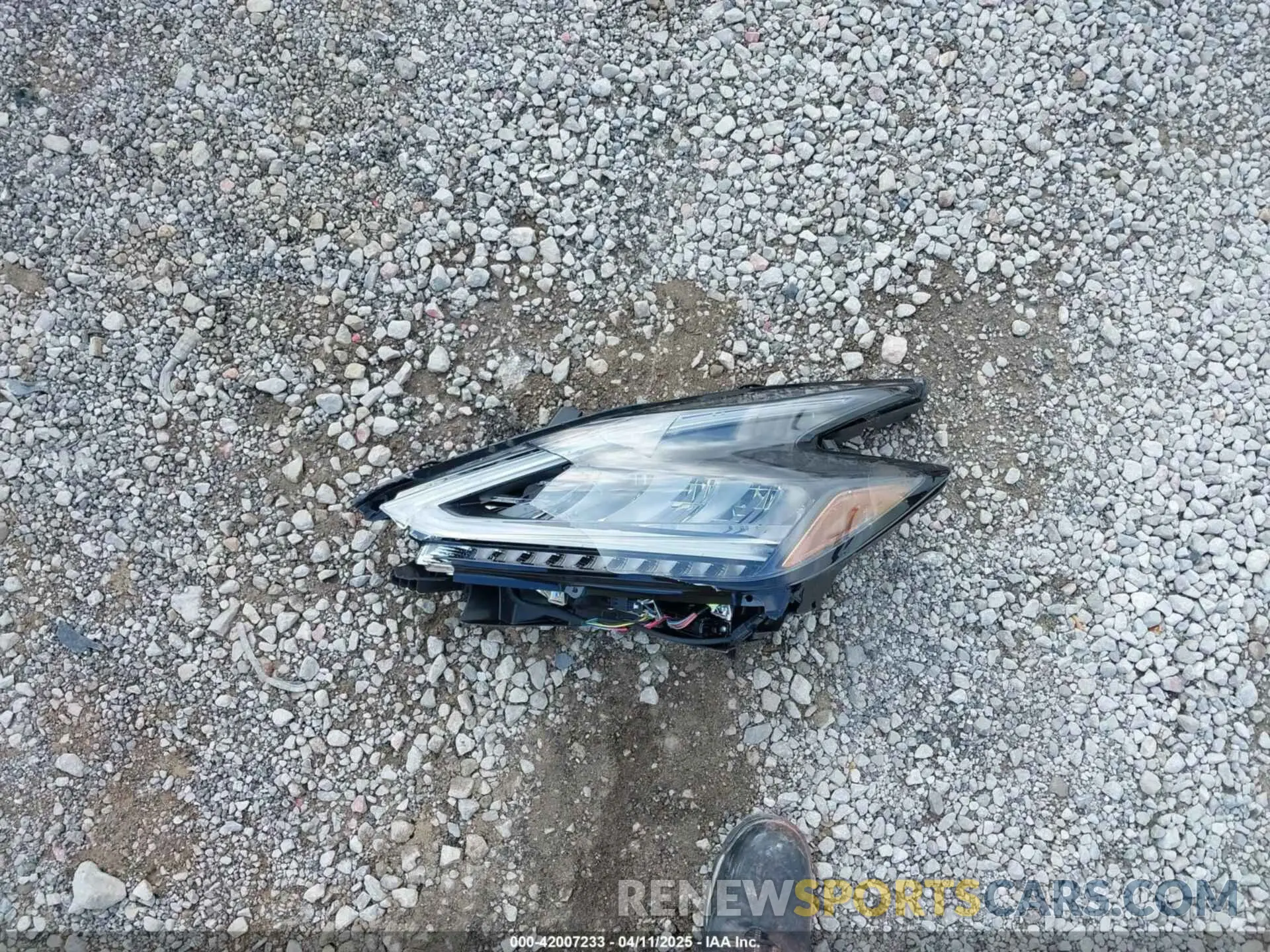 12 fotografías del automóvil dañado 5N1AZ2CS9RC119014 NISSAN MURANO 2024