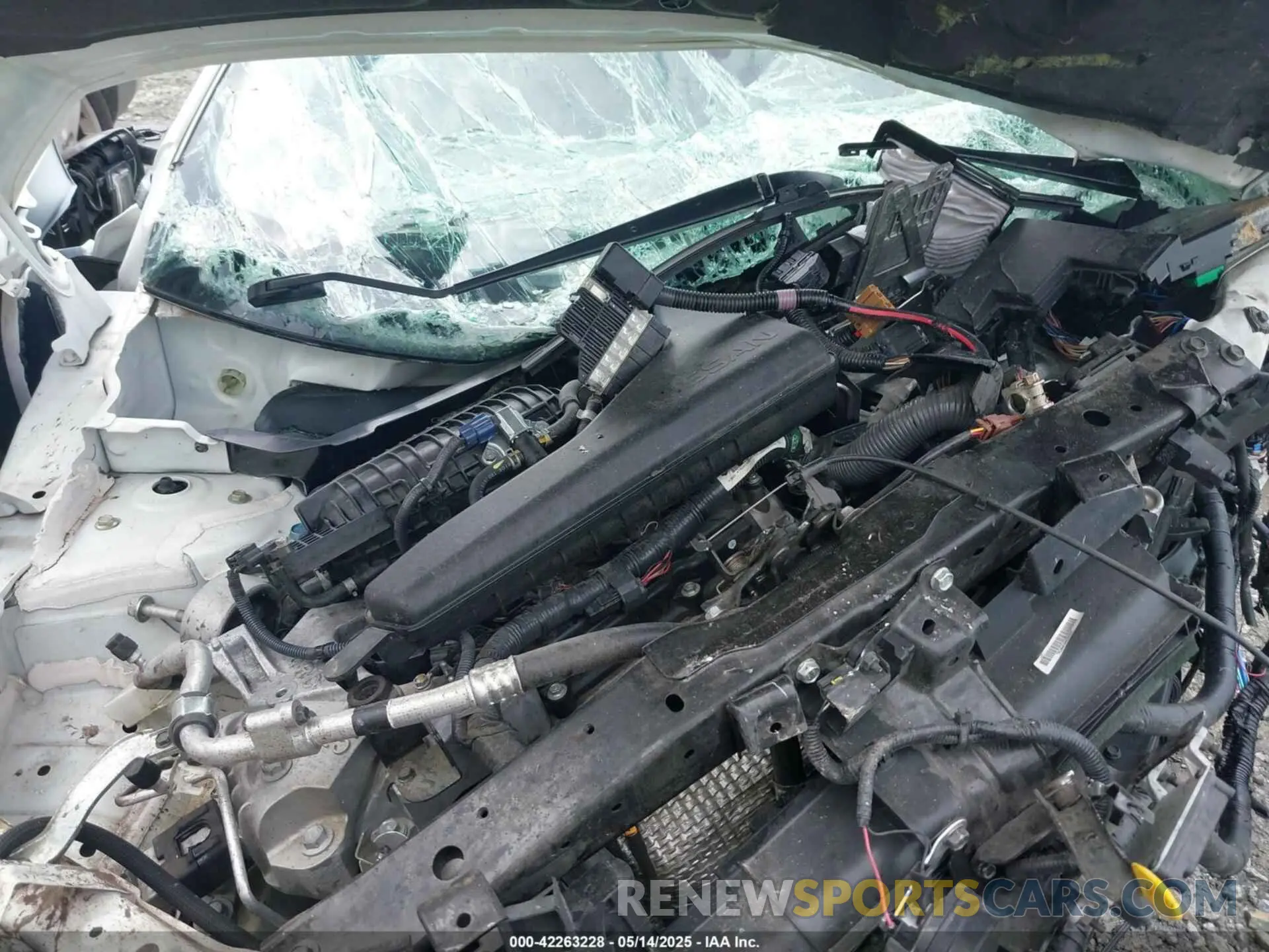 10 fotografías del automóvil dañado 5N1AT2MT3KC816547 NISSAN ROGUE 2019